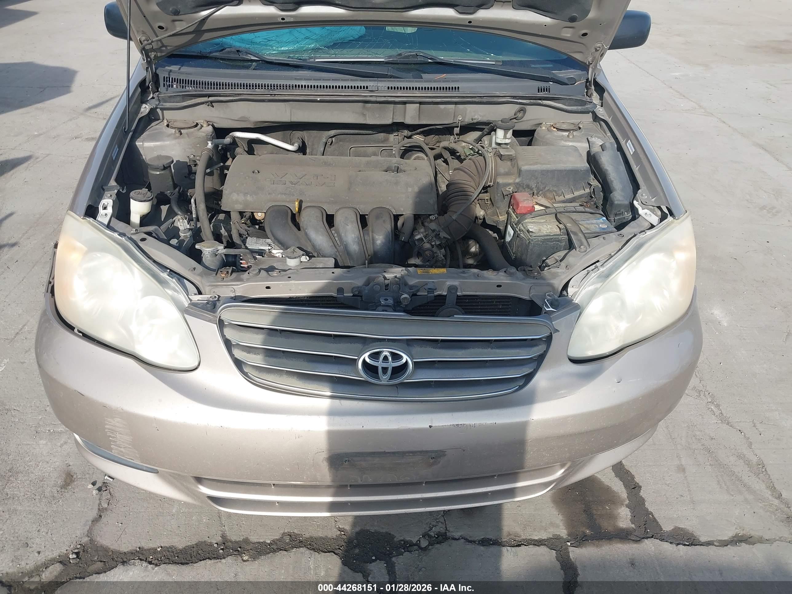 TOYOTA COROLLA image 10