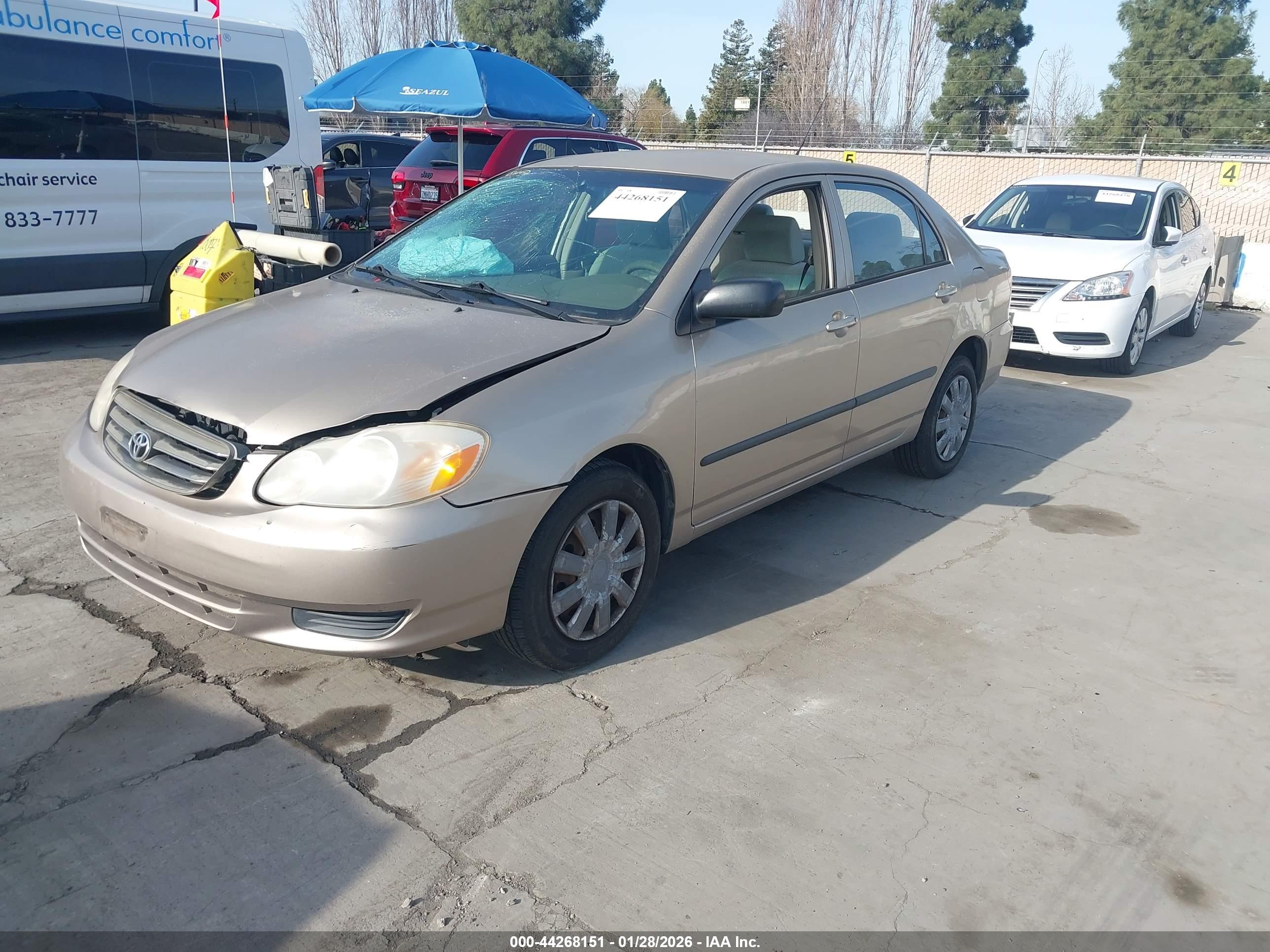 TOYOTA COROLLA image 2