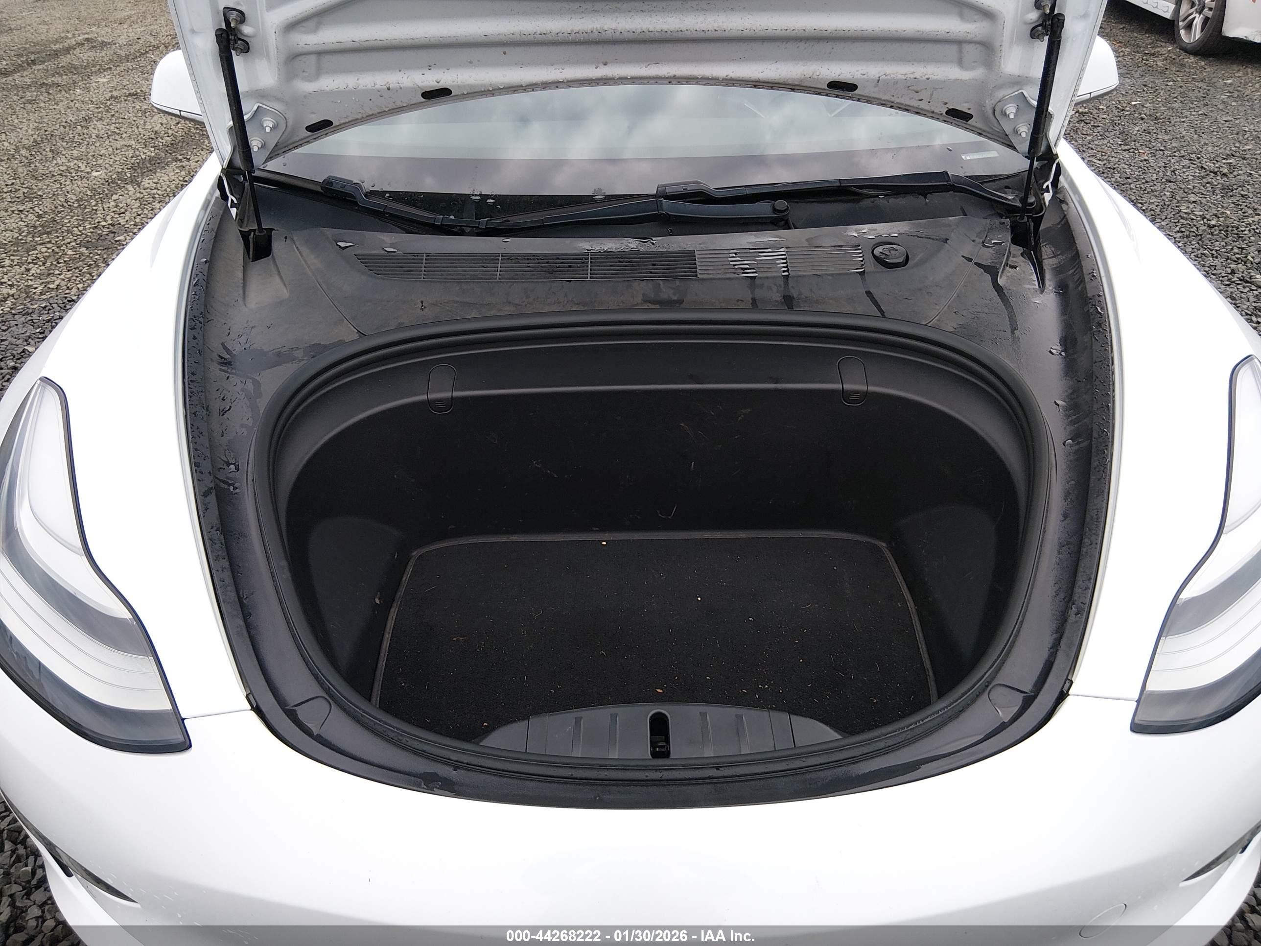 TESLA MODEL image 10
