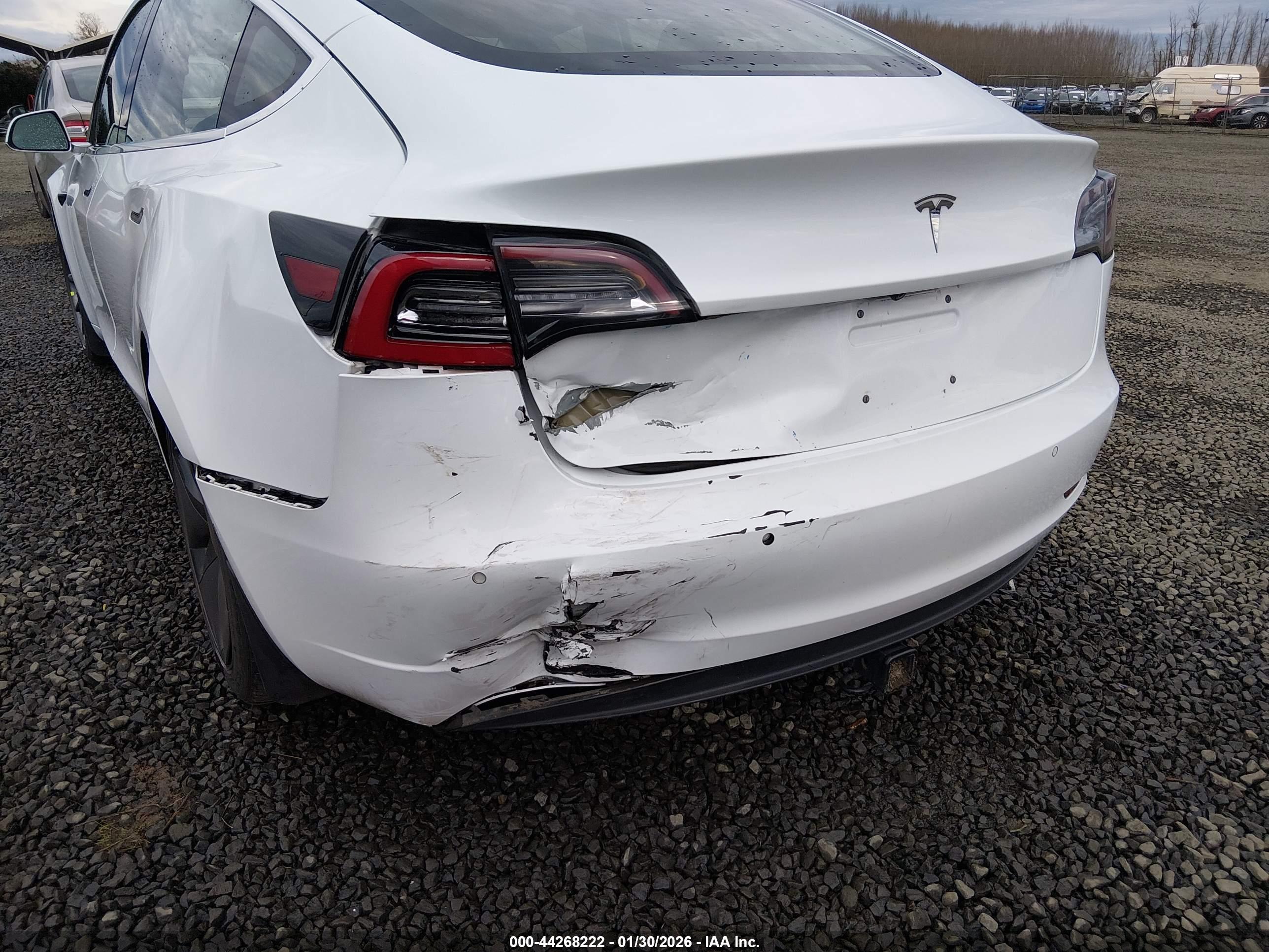 TESLA MODEL image 6