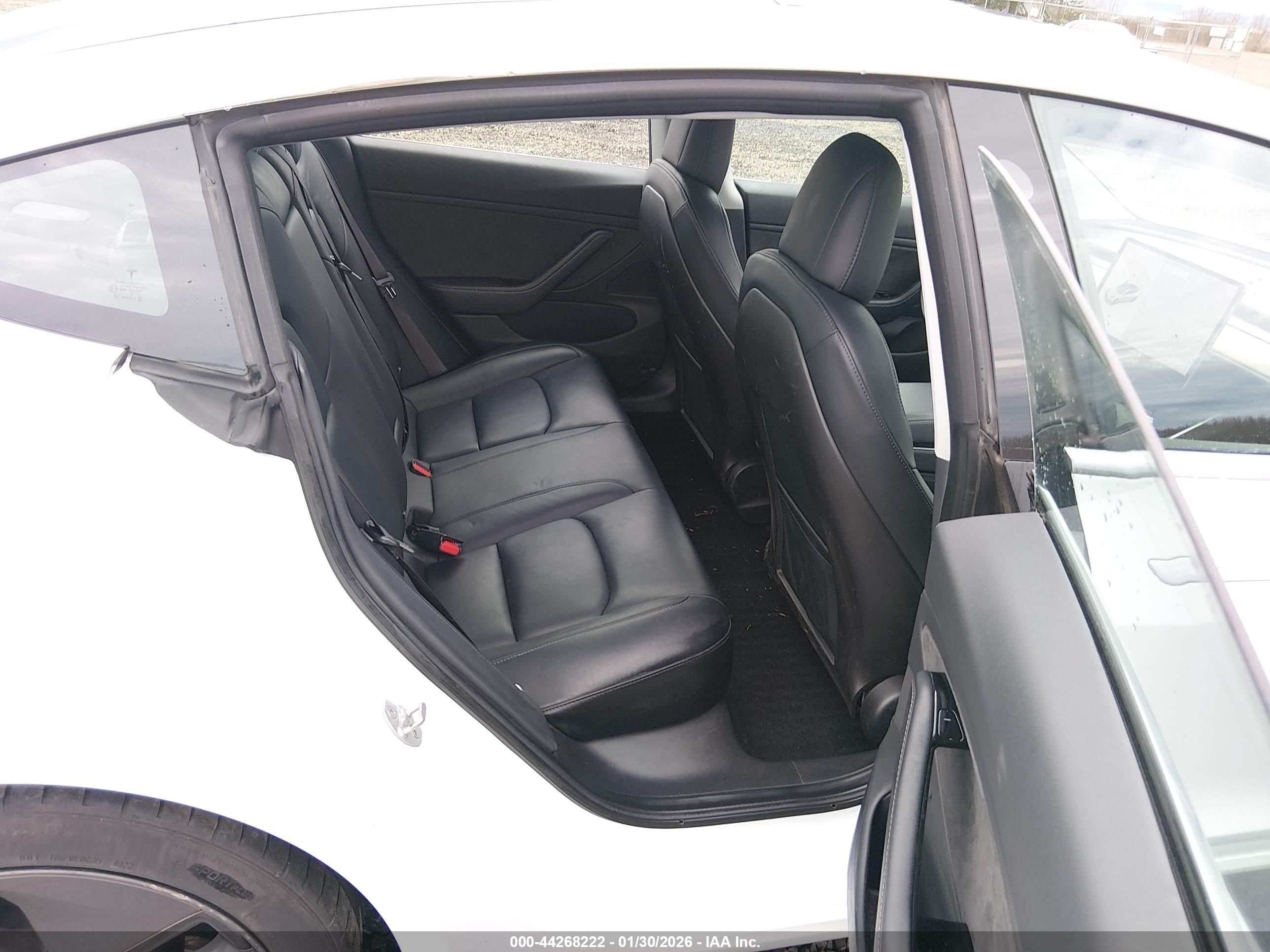 TESLA MODEL image 8