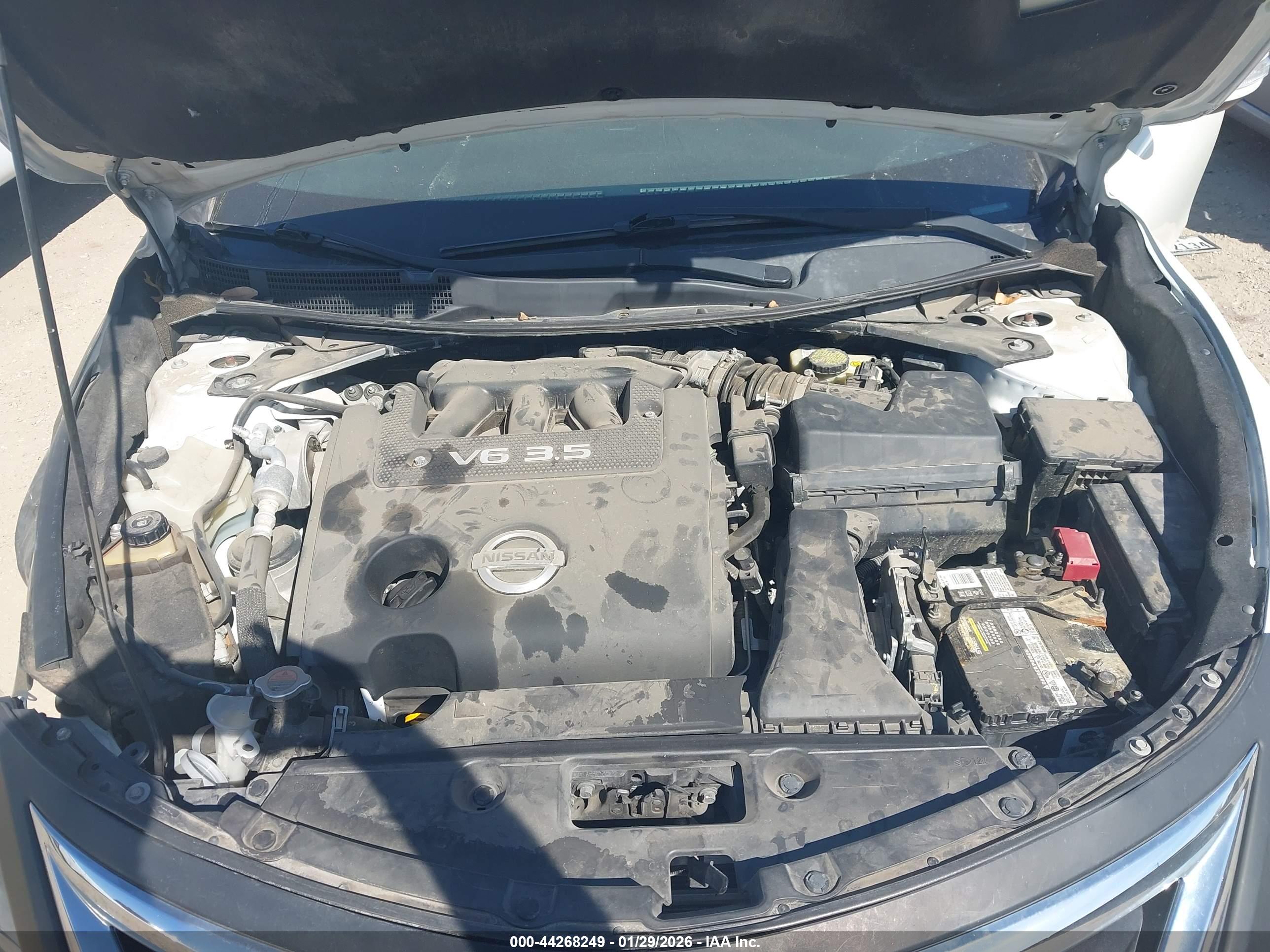 NISSAN ALTIMA image 10