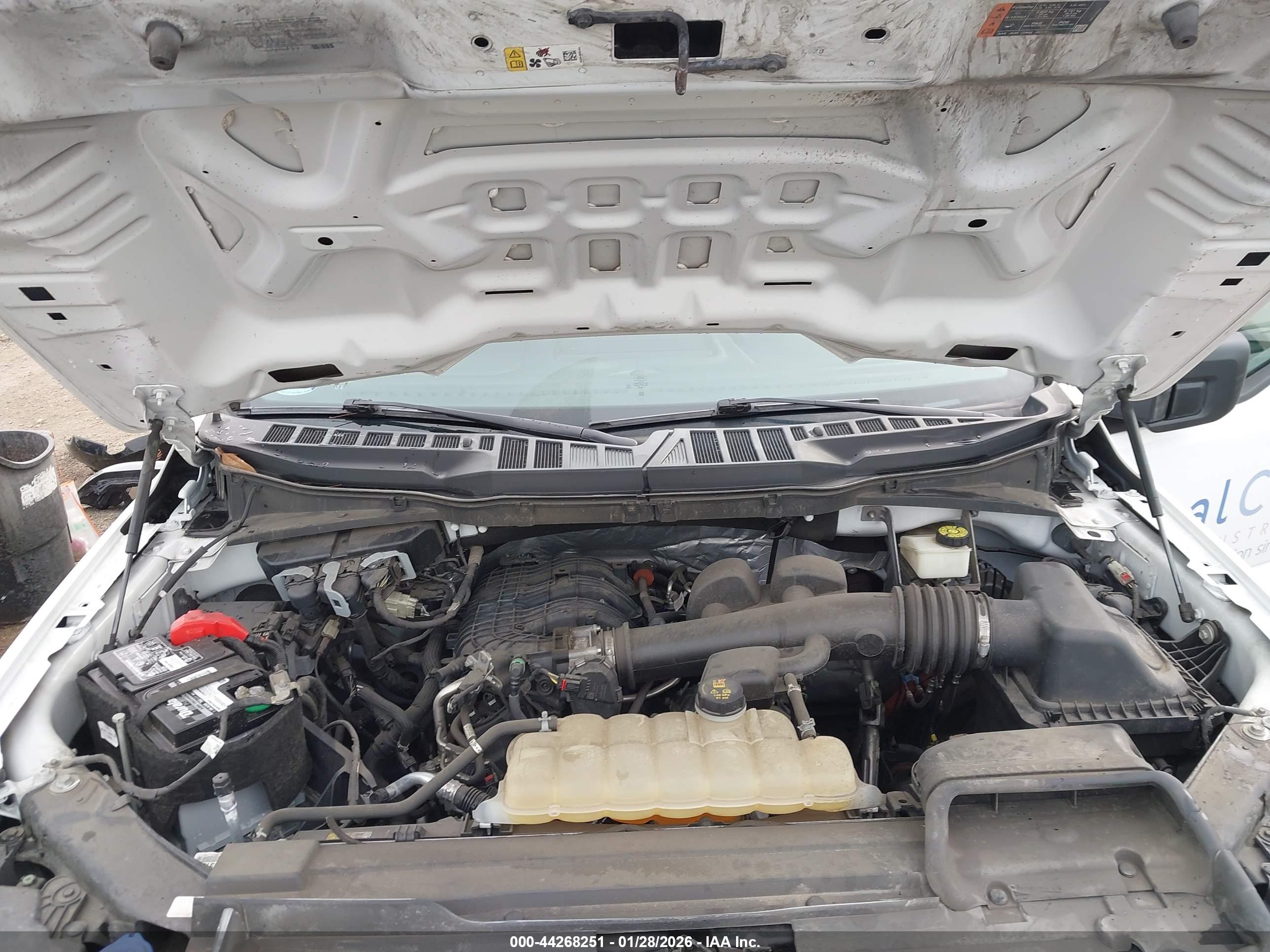 FORD F-150 image 10