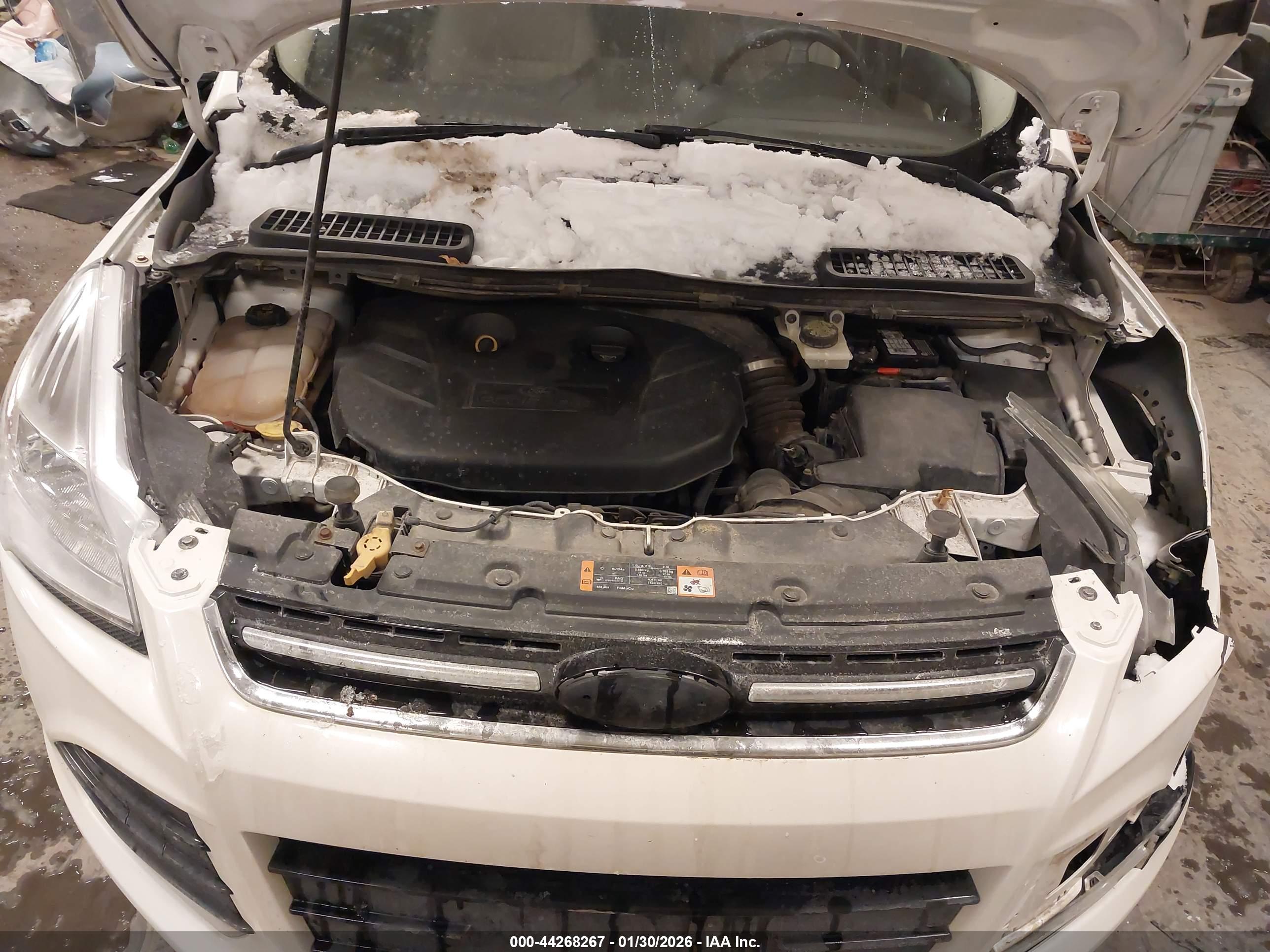 FORD ESCAPE image 10