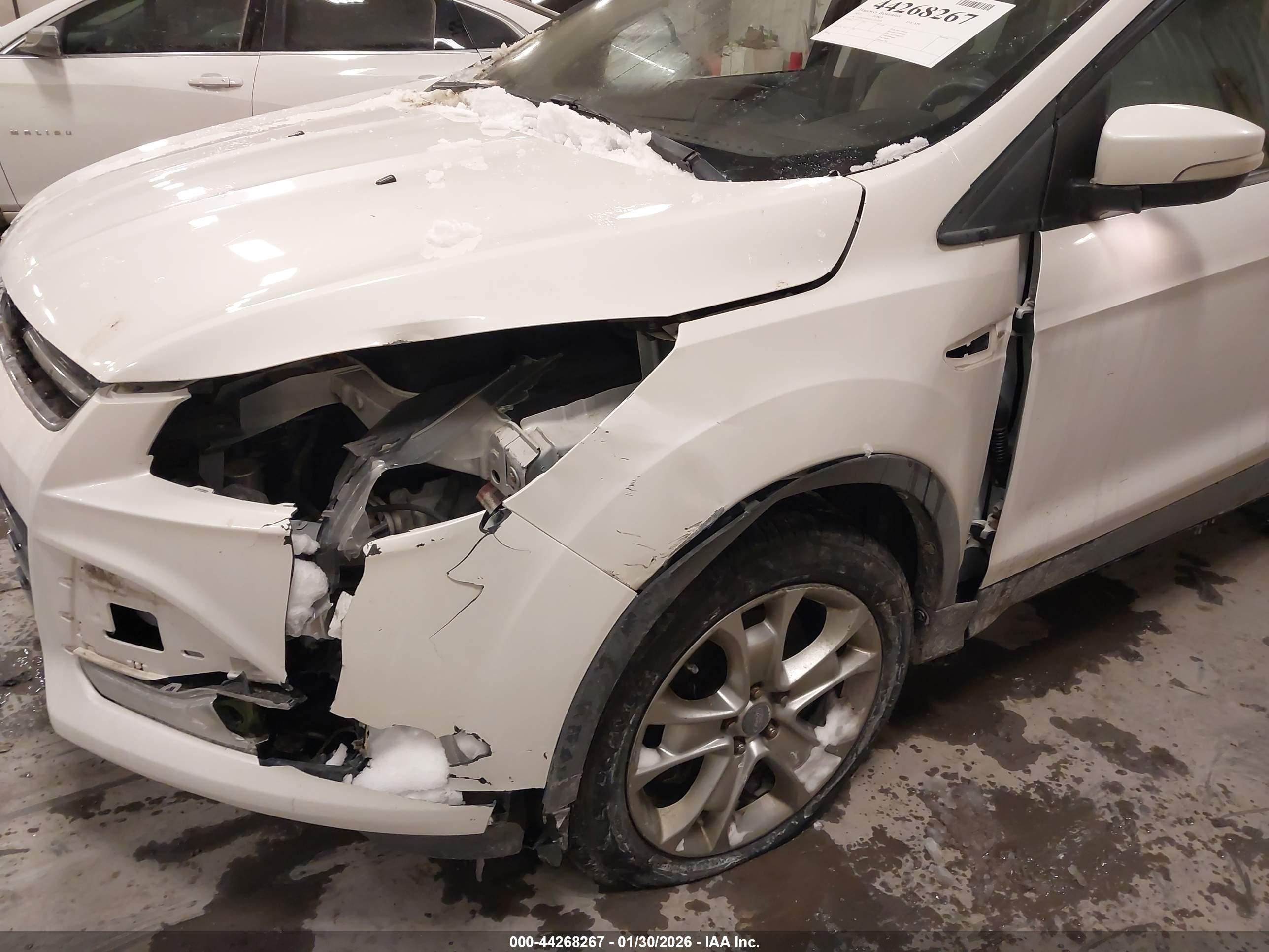 FORD ESCAPE image 6