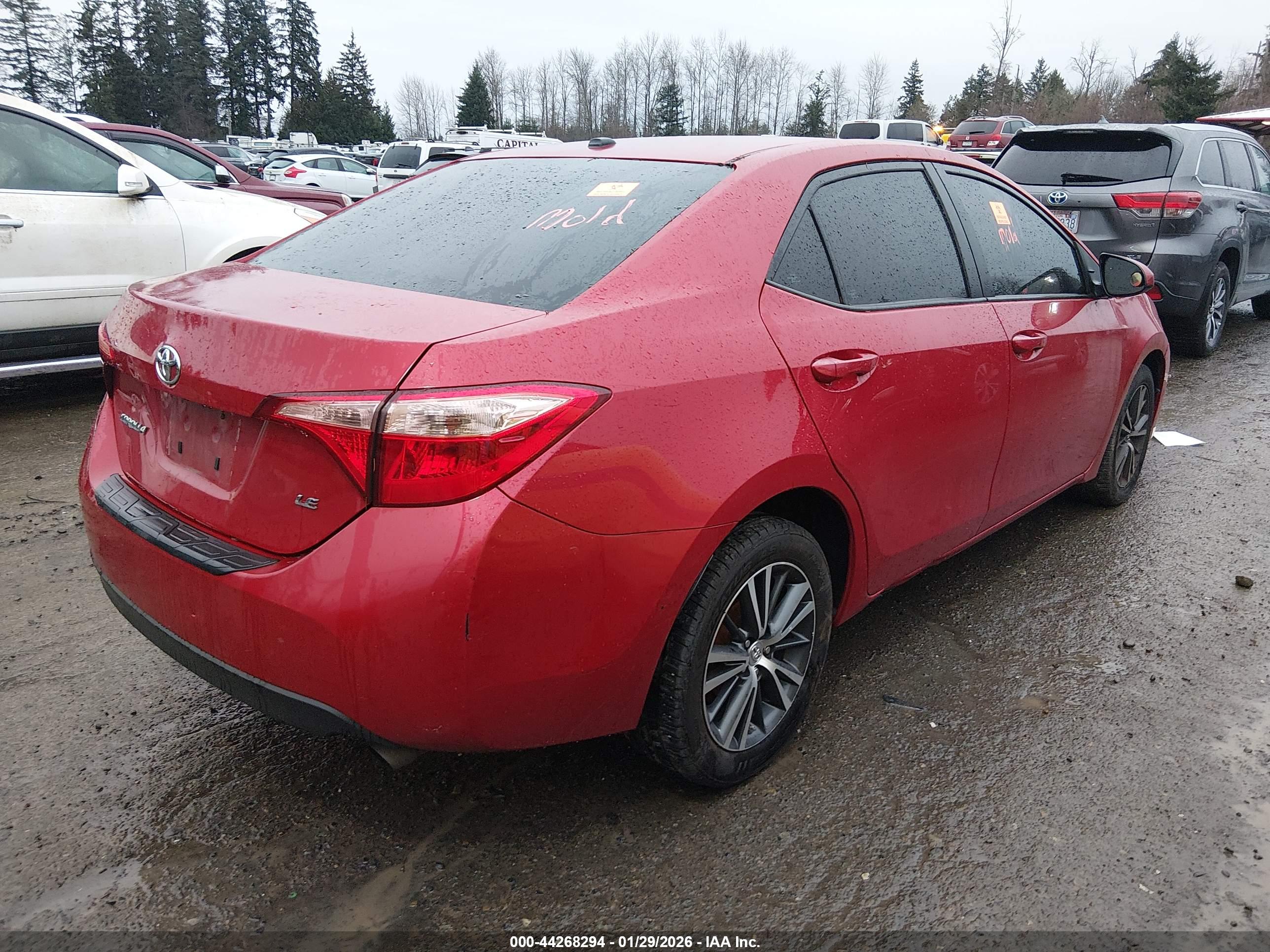 TOYOTA COROLLA image 4