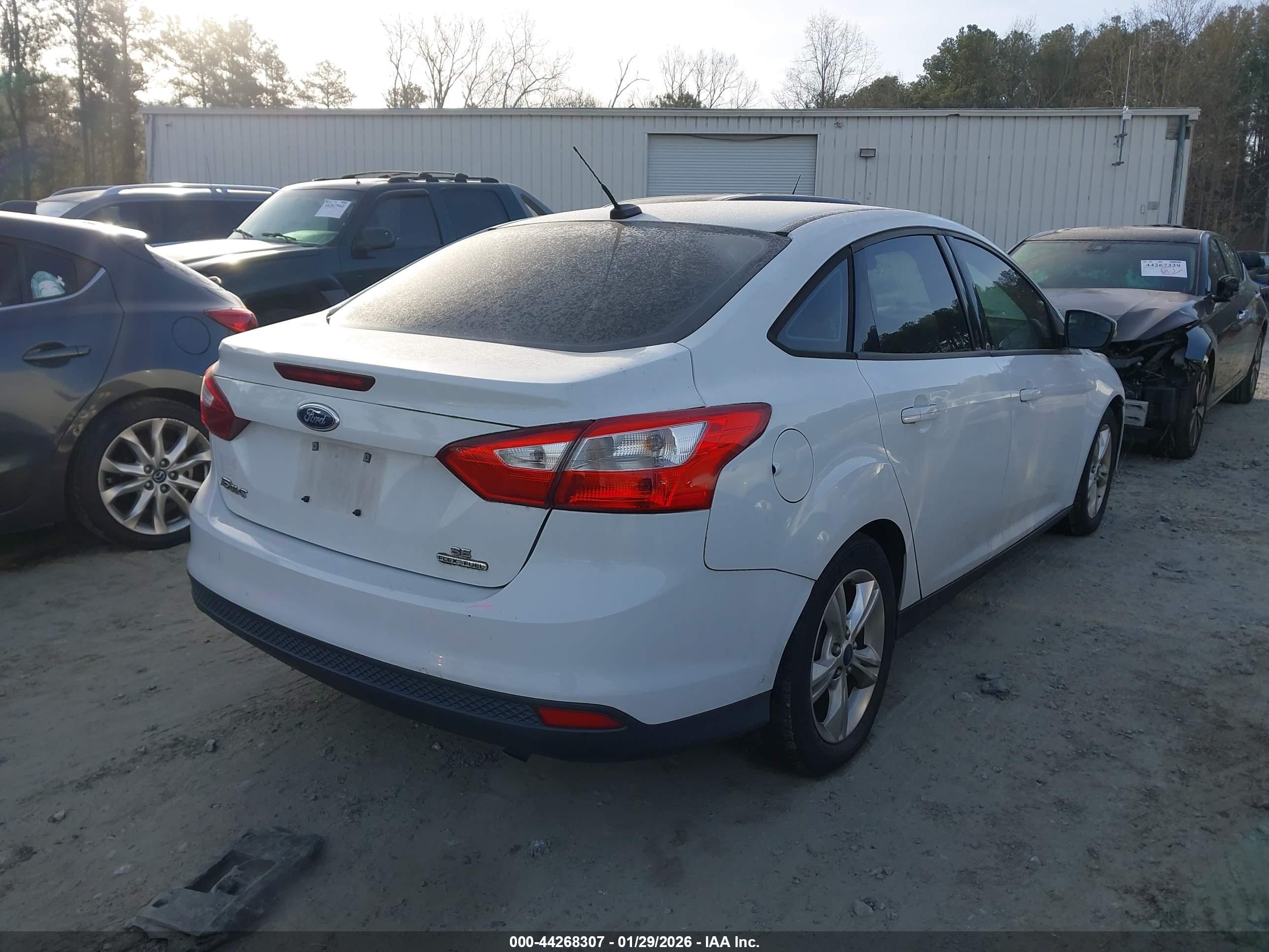 FORD FOCUS image 4