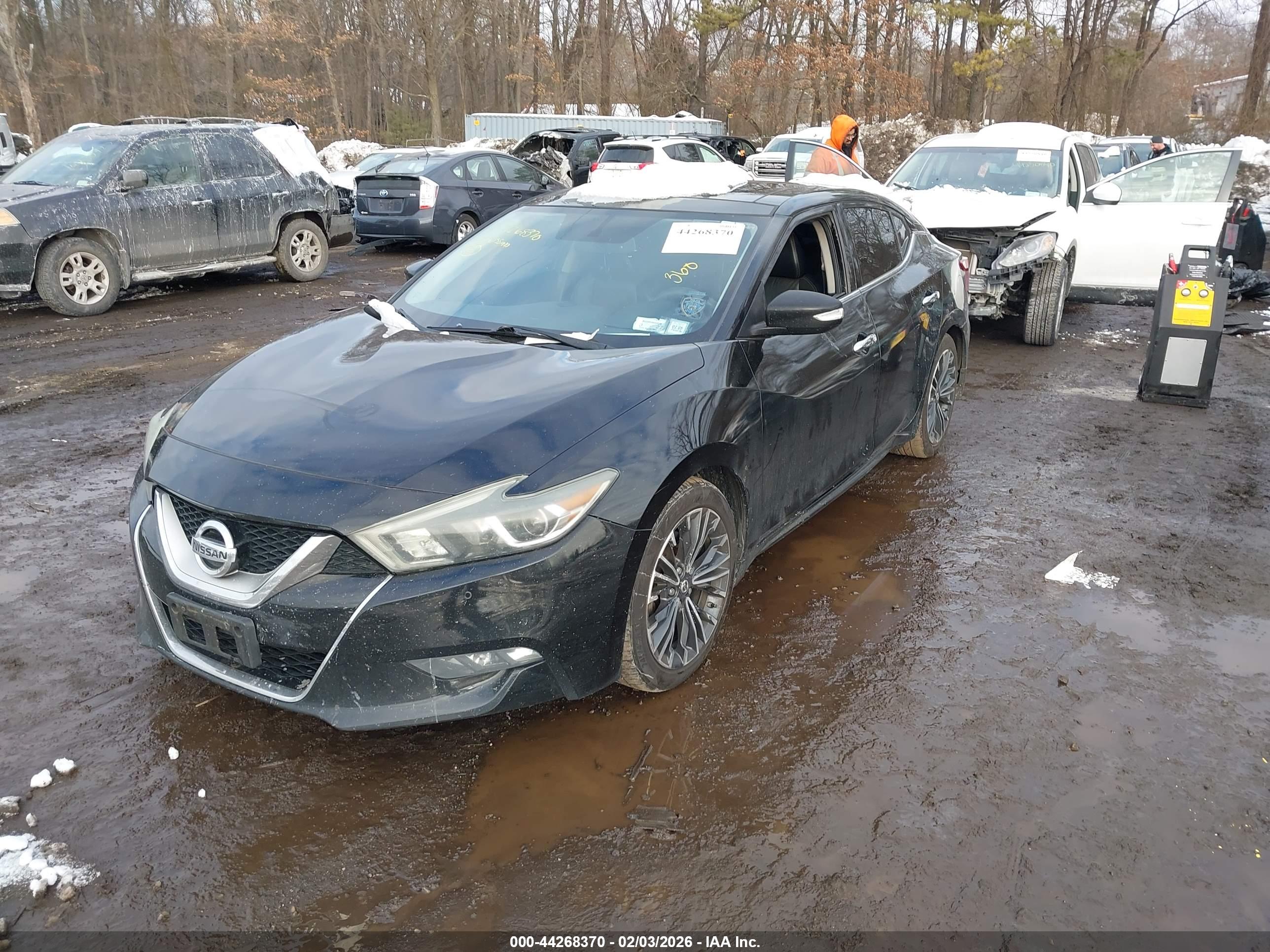 NISSAN MAXIMA image 2