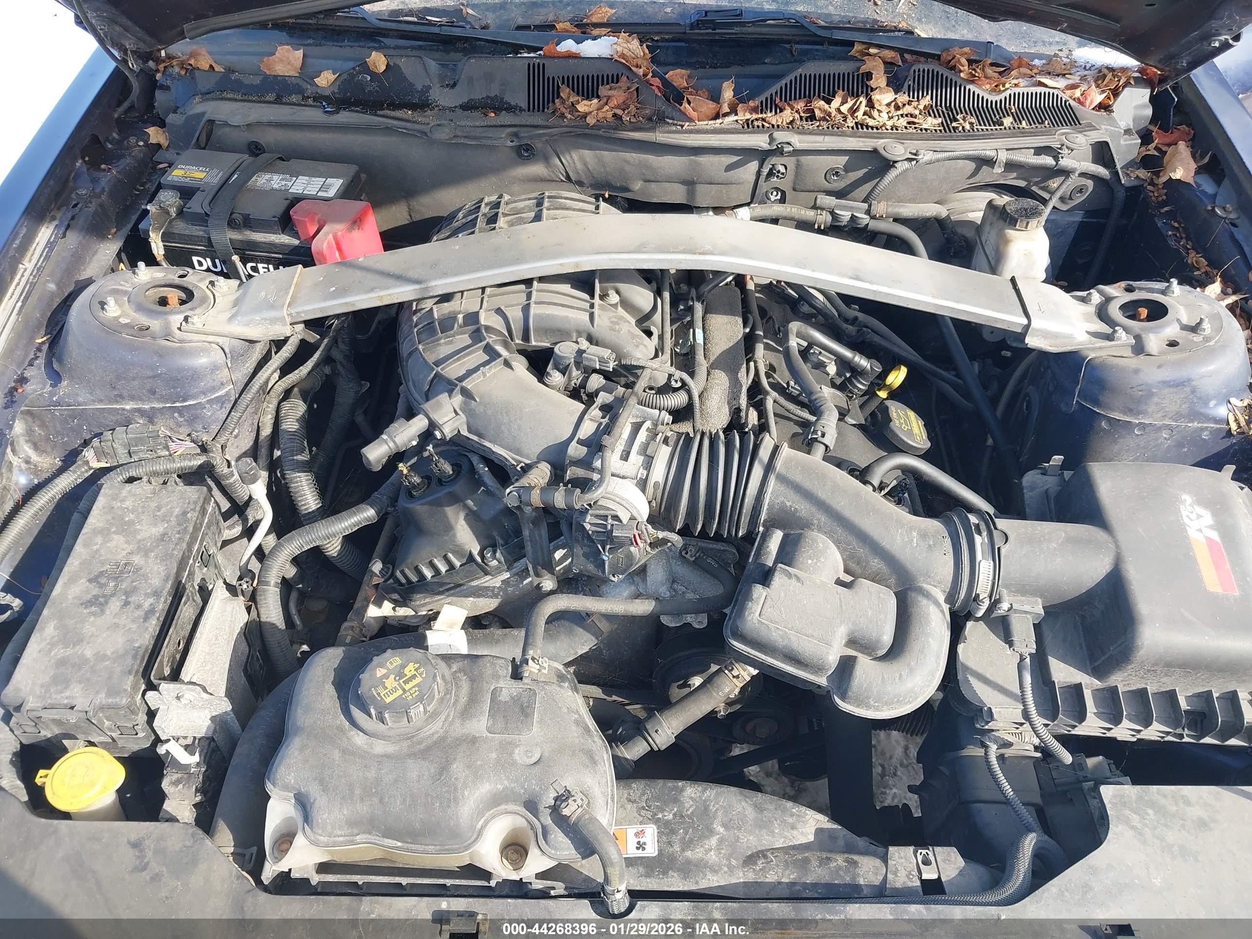 FORD MUSTANG image 10