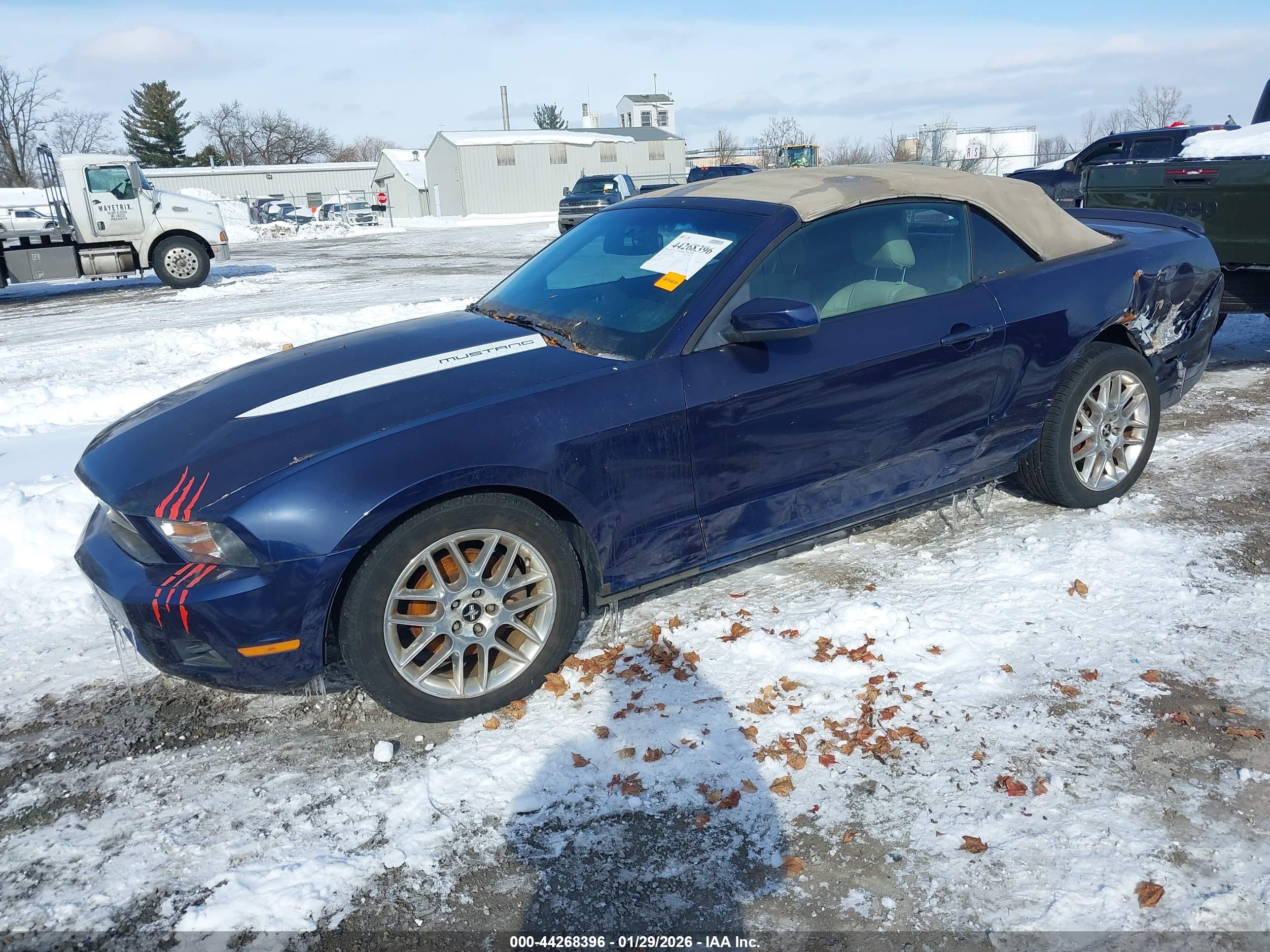 FORD MUSTANG image 2