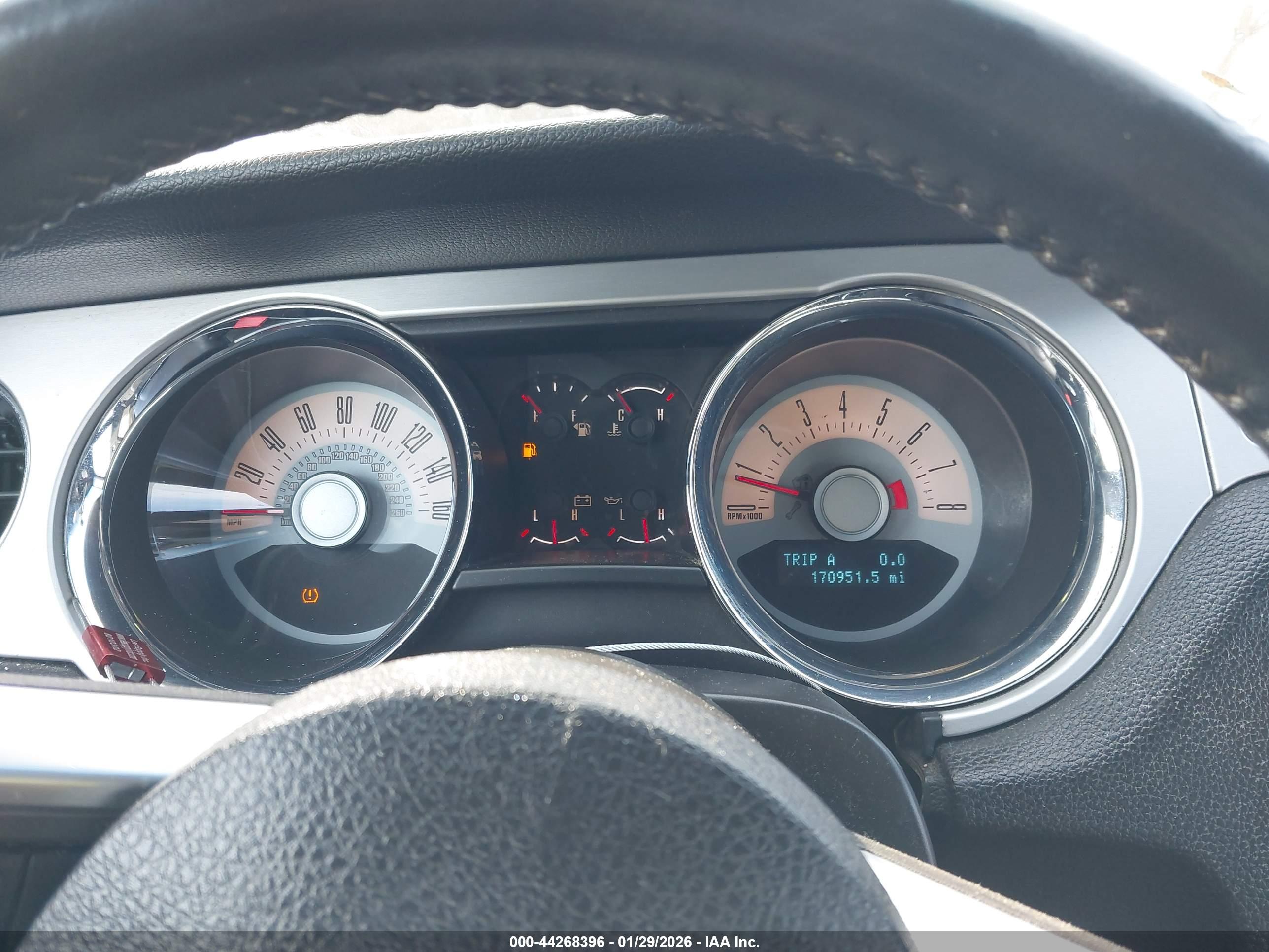 FORD MUSTANG image 7