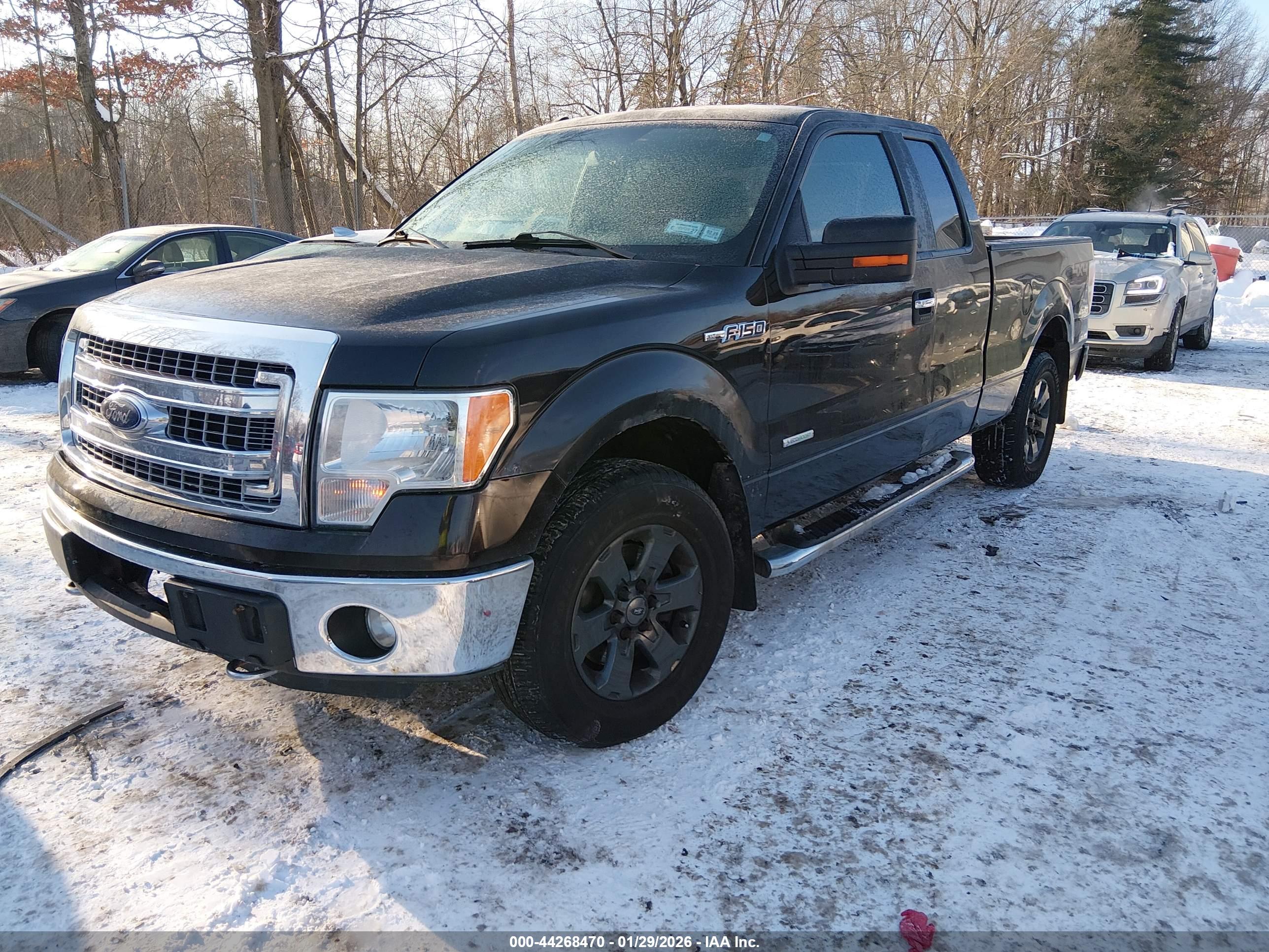 FORD F-150 image 2
