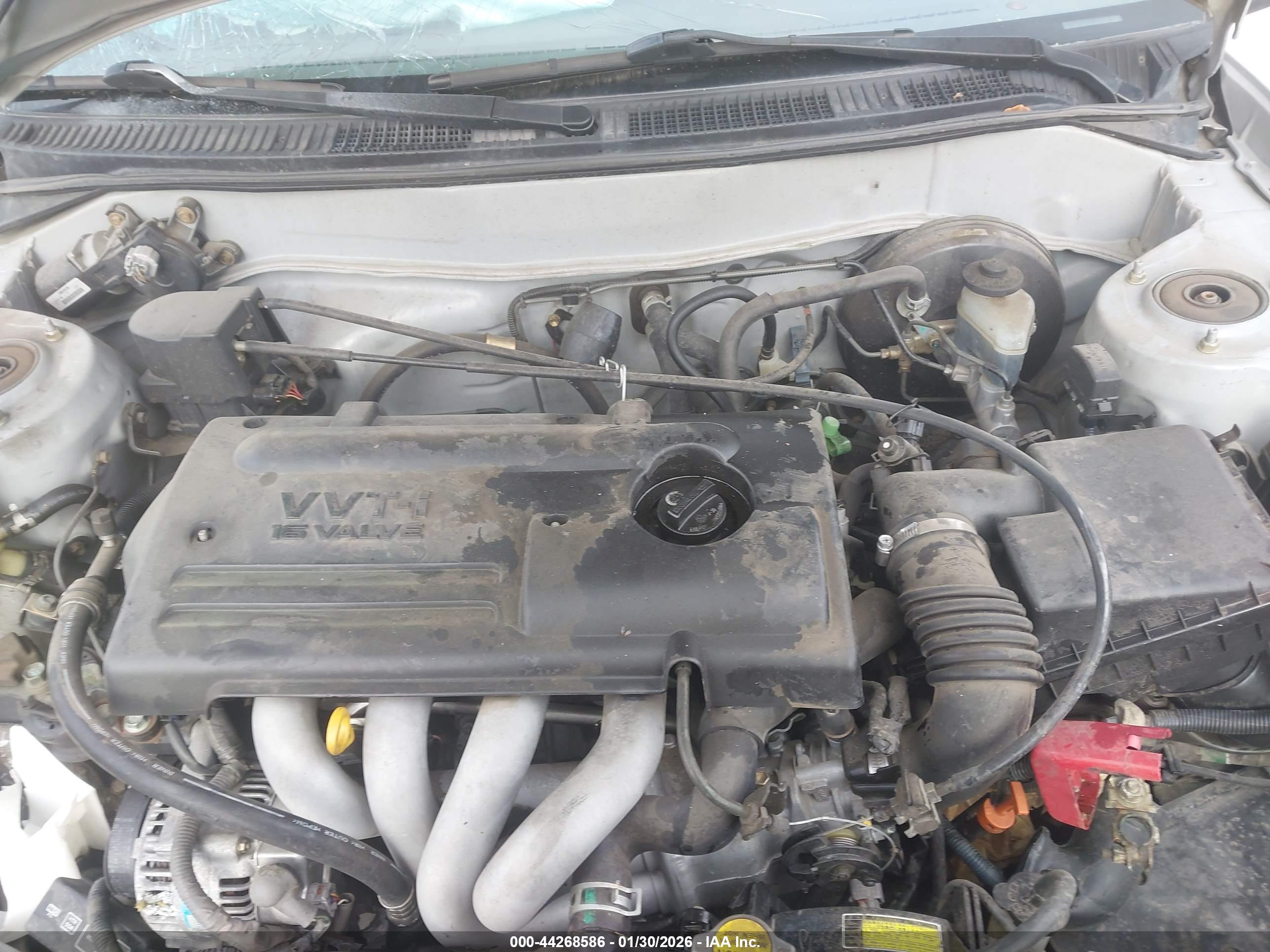 TOYOTA COROLLA image 10