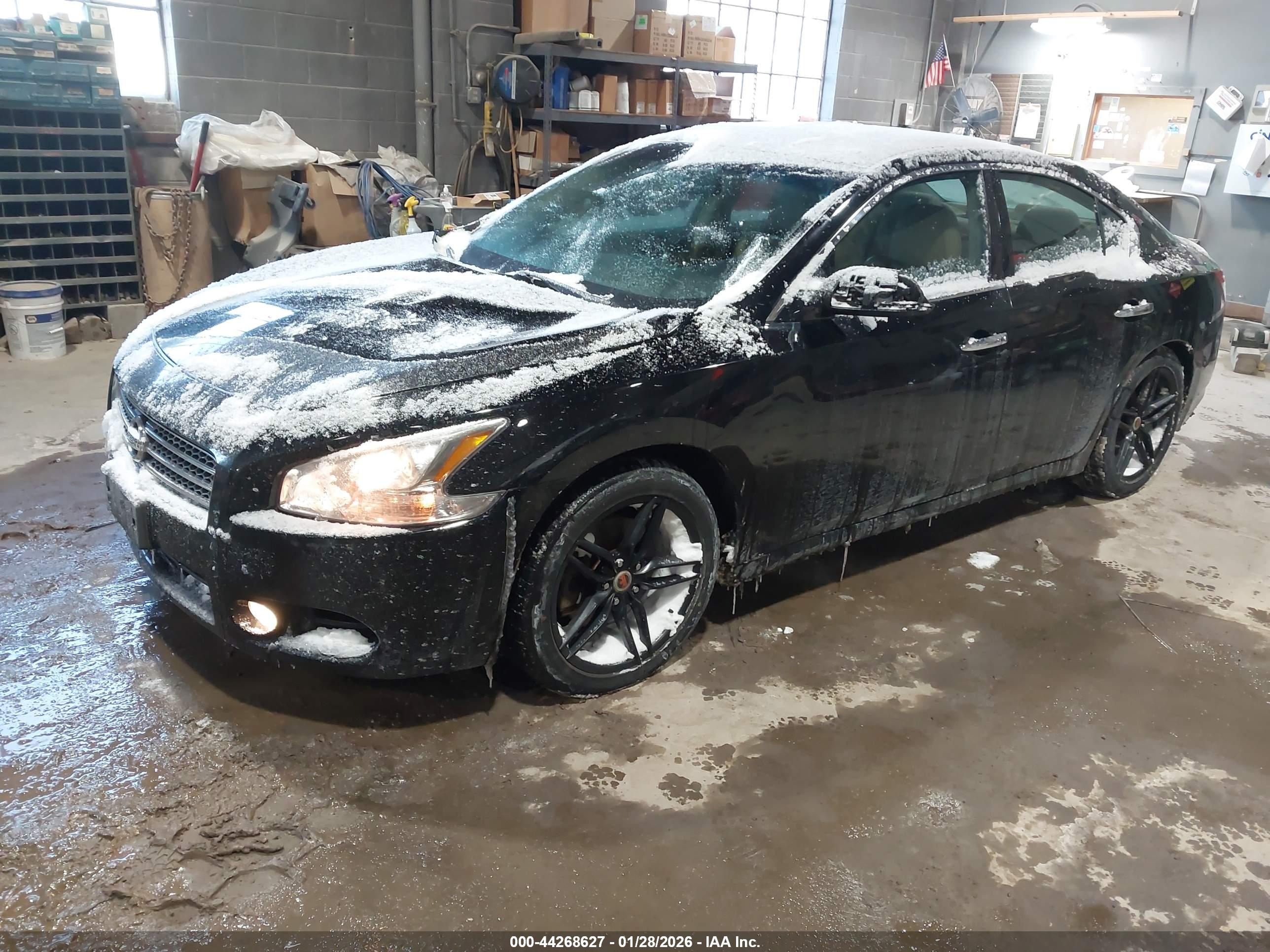NISSAN MAXIMA image 2
