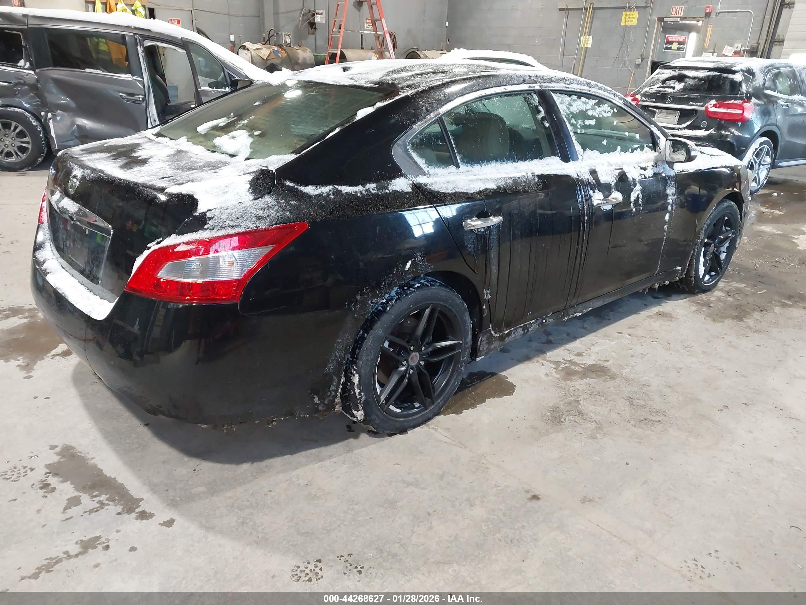 NISSAN MAXIMA image 4