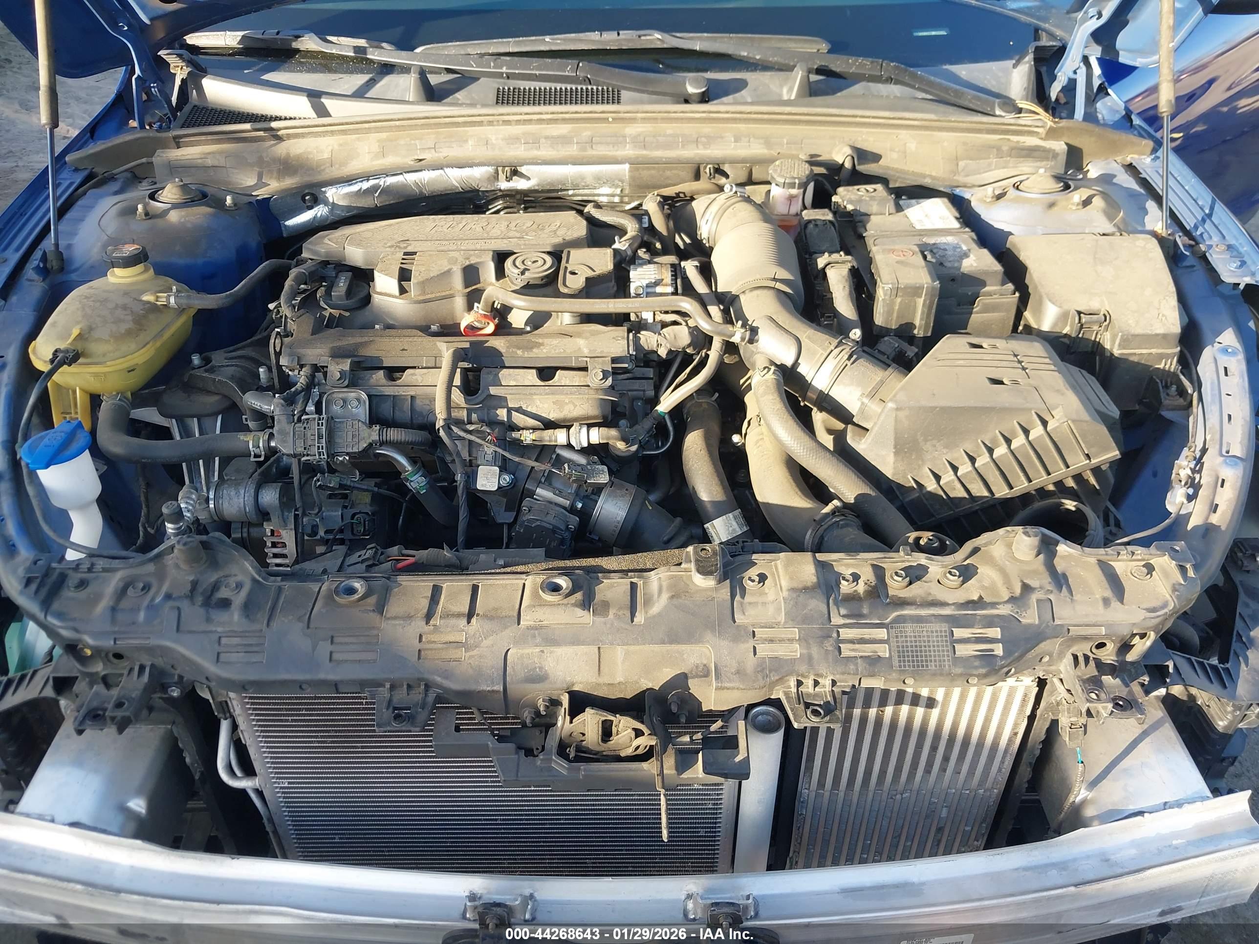KIA K5 image 10