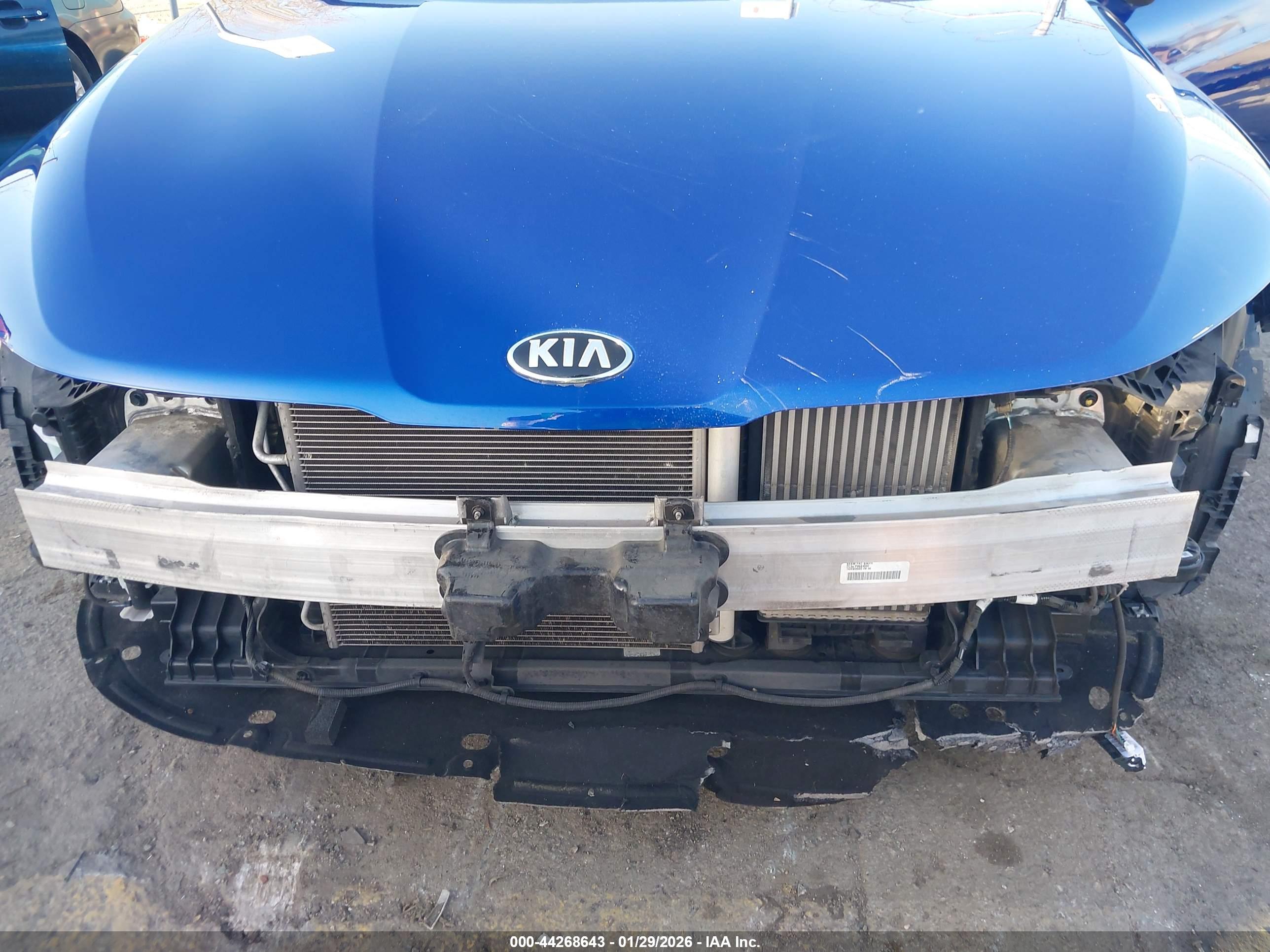 KIA K5 image 6