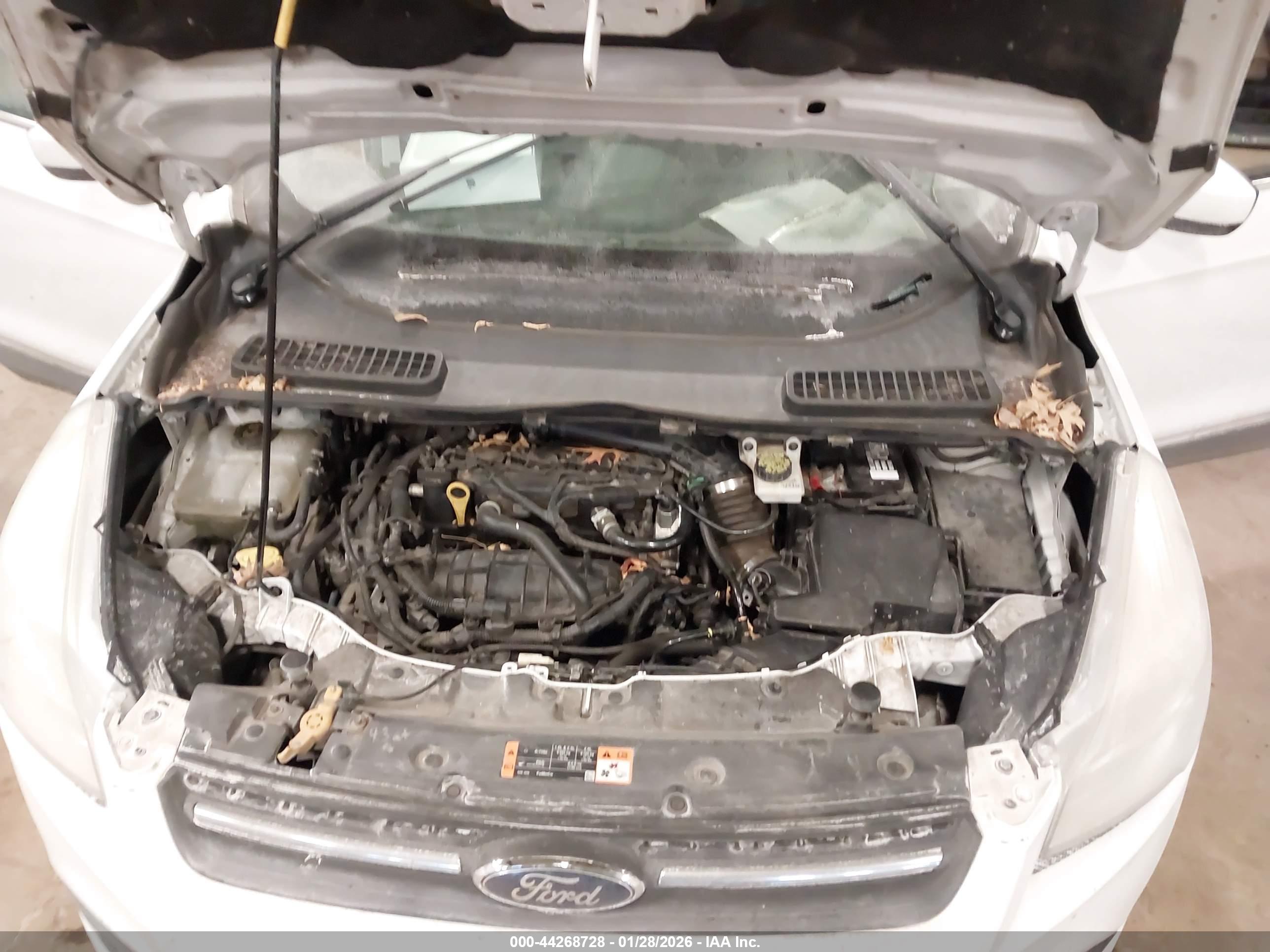 FORD ESCAPE image 10