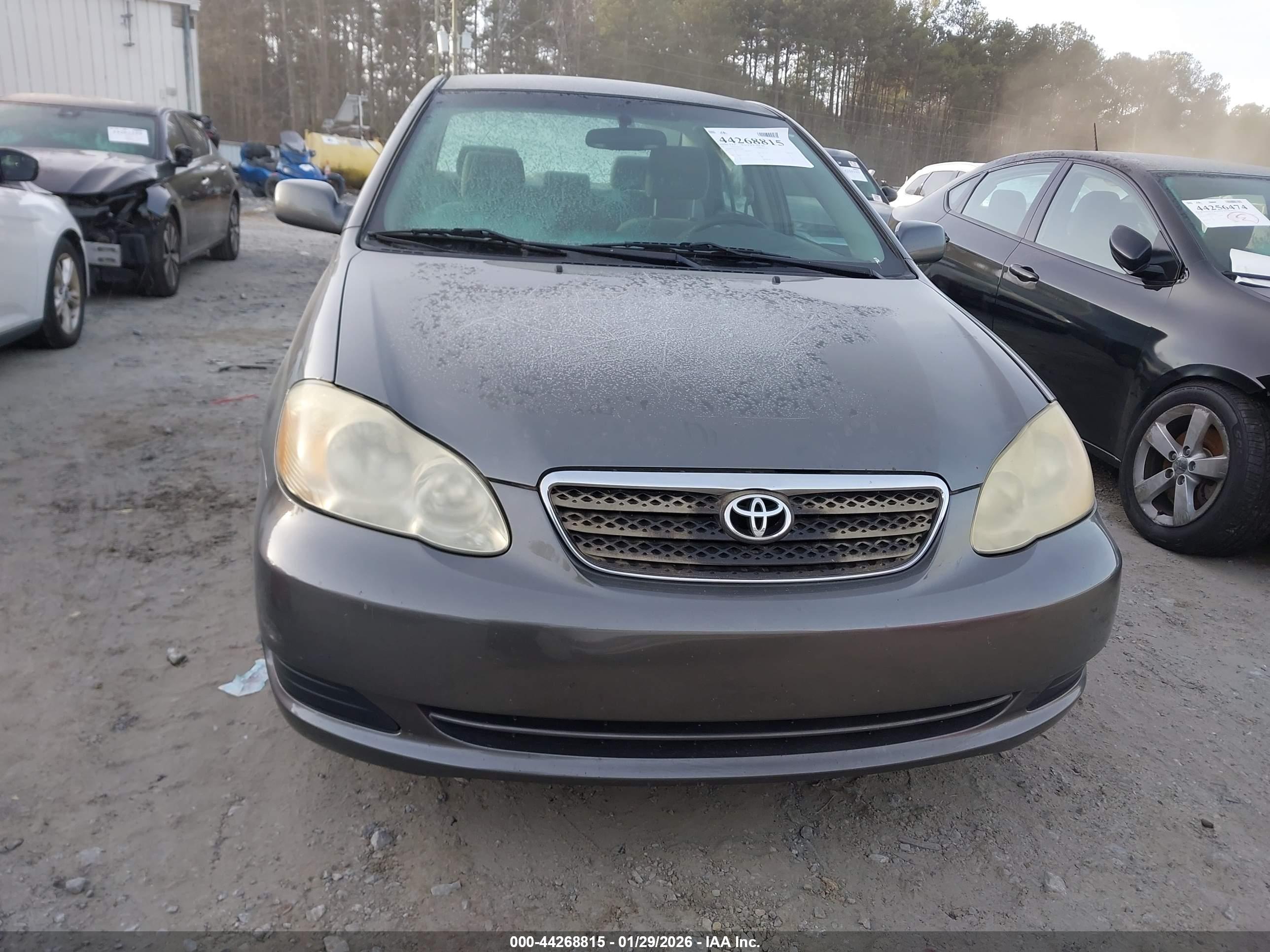 TOYOTA COROLLA image 6