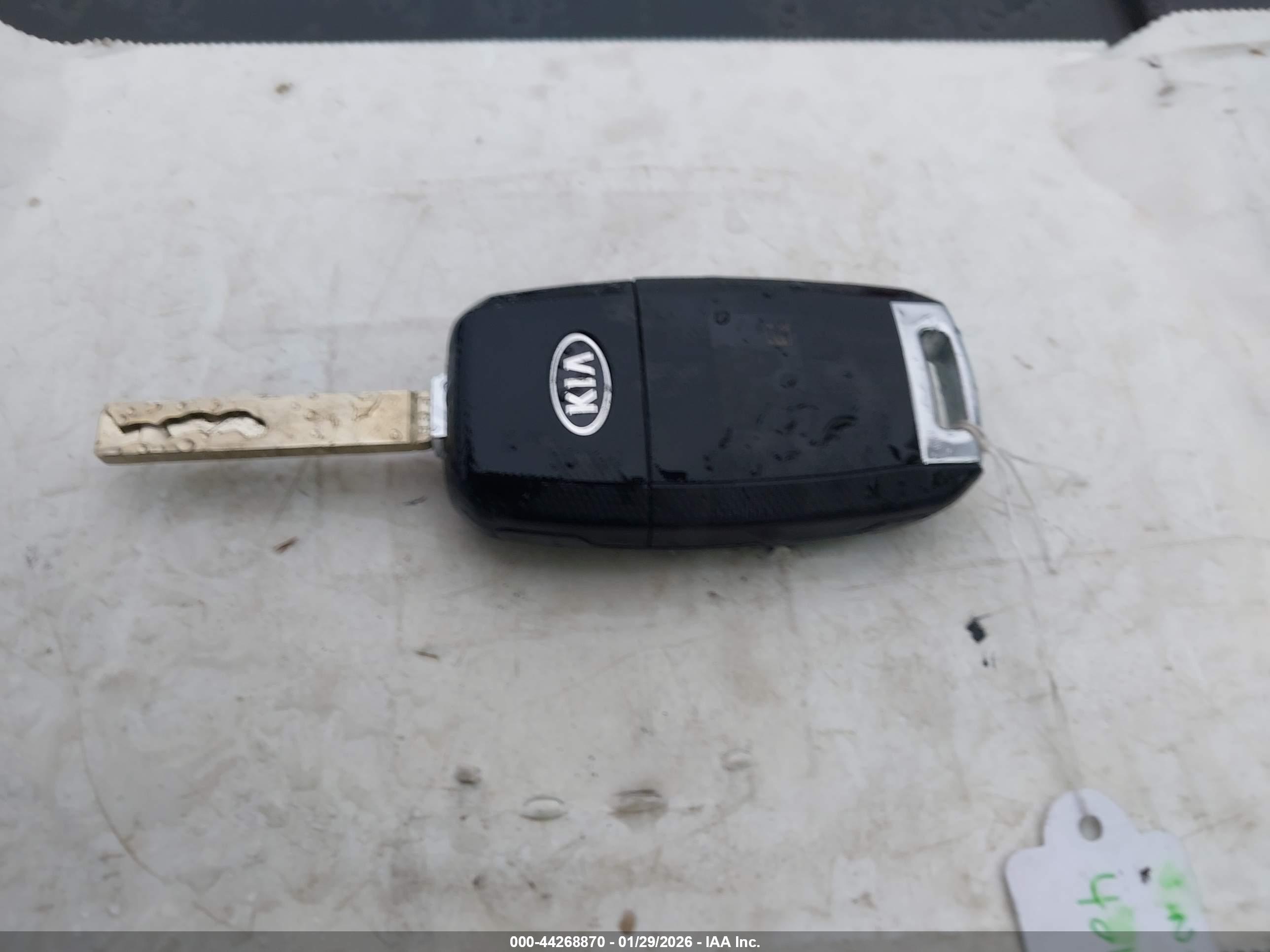 KIA RIO image 11