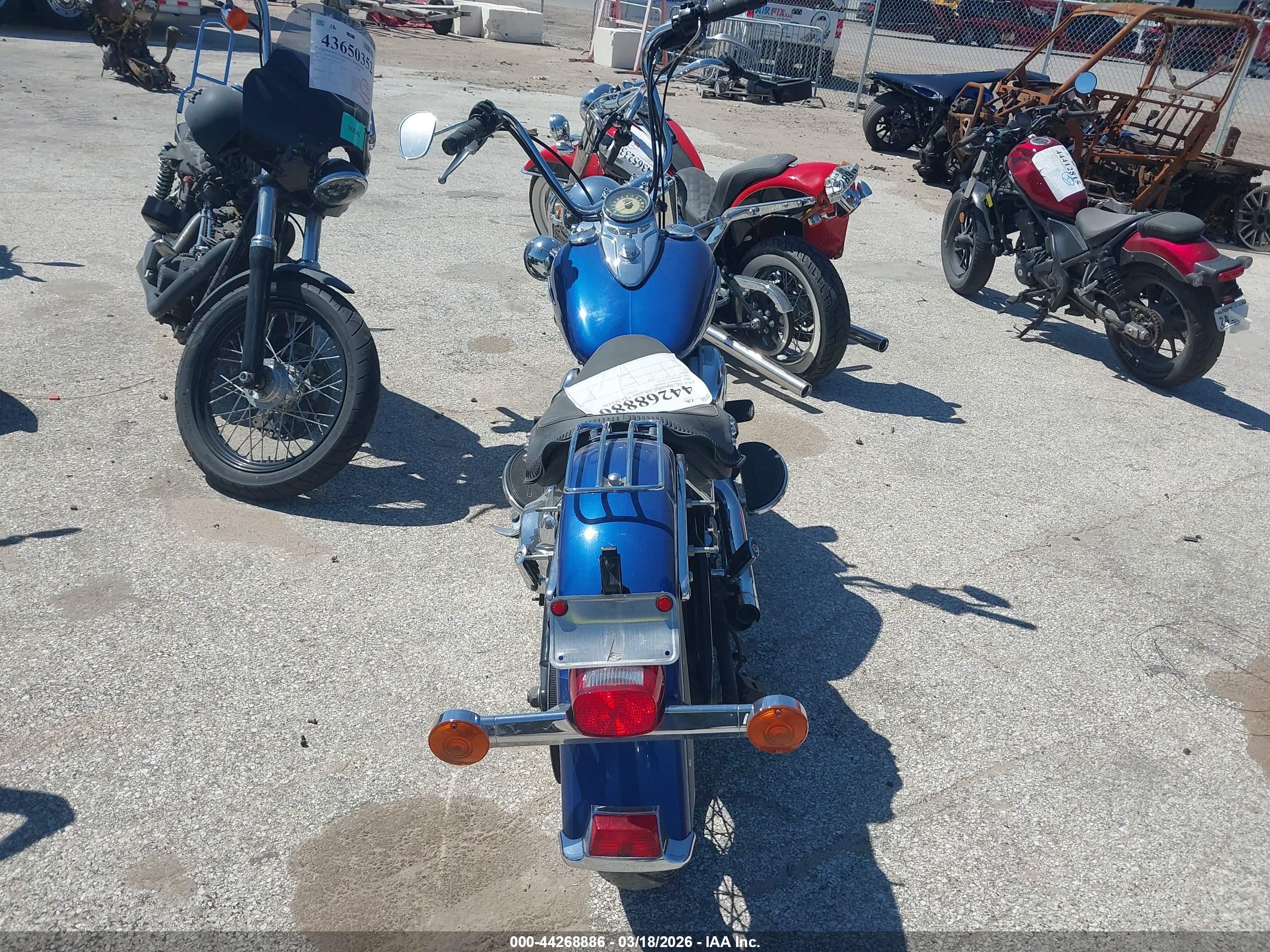 HARLEY-DAVIDSON FLSTC image 6