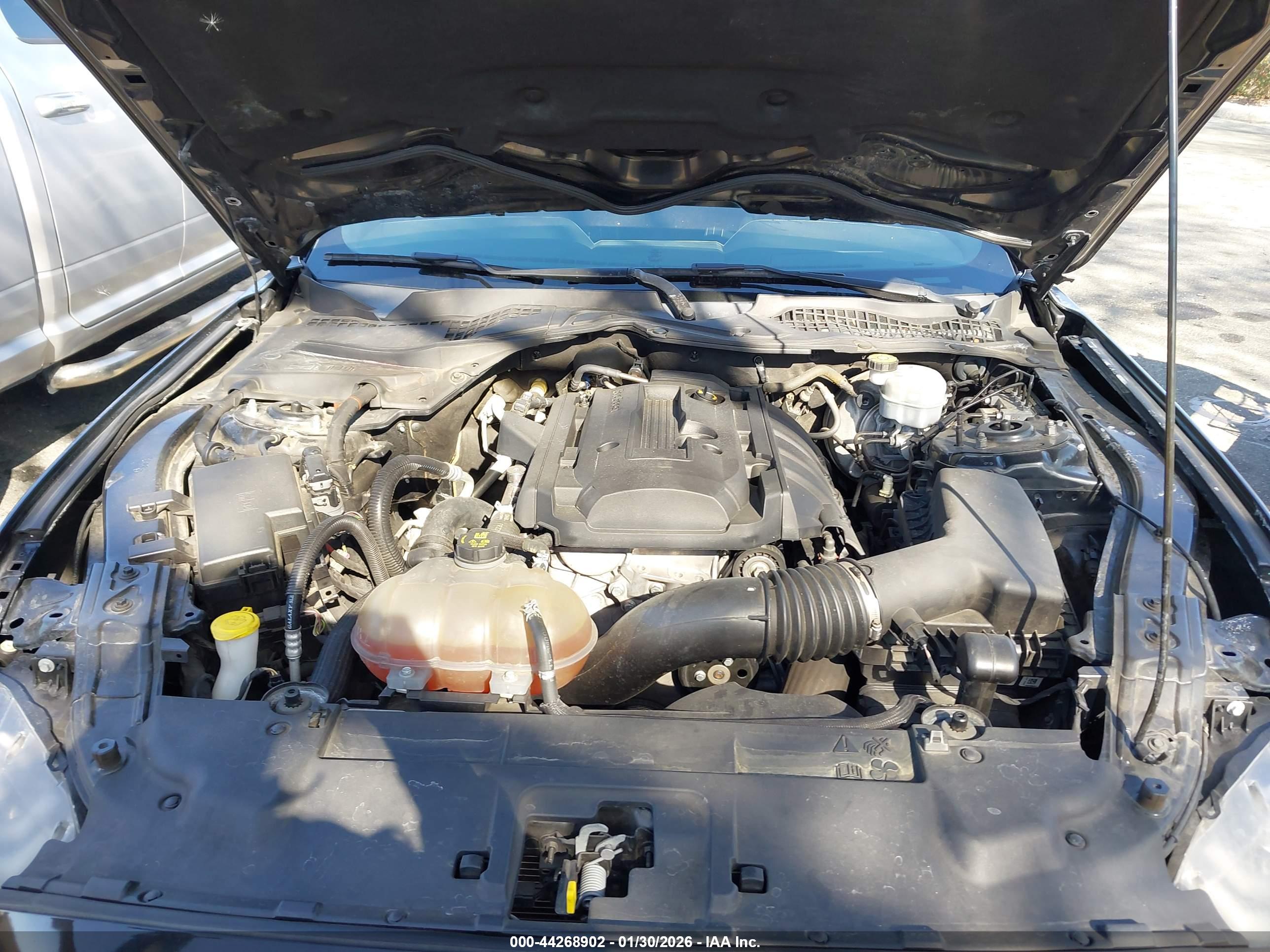 FORD MUSTANG image 10