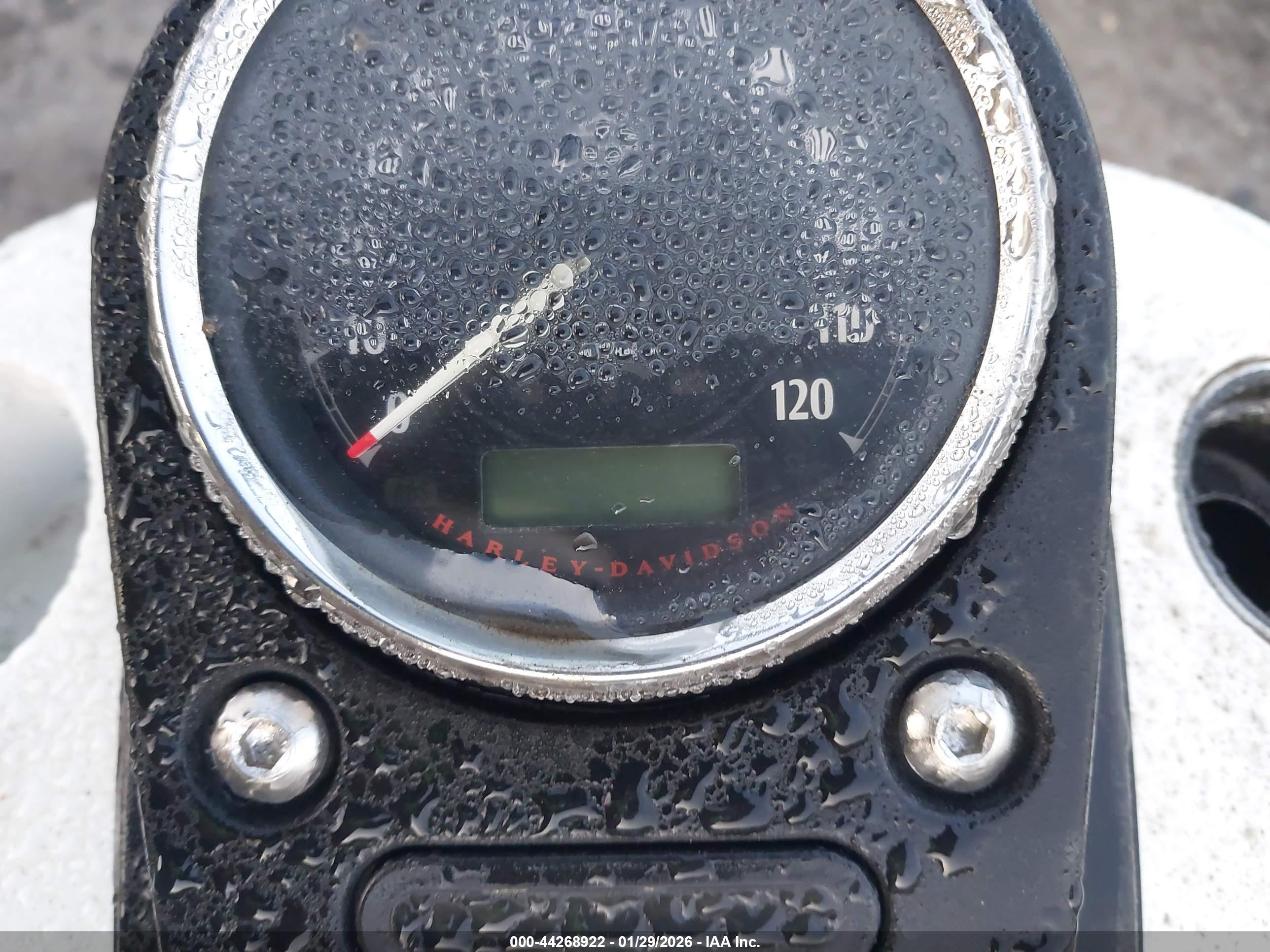 HARLEY-DAVIDSON FXDBP image 7