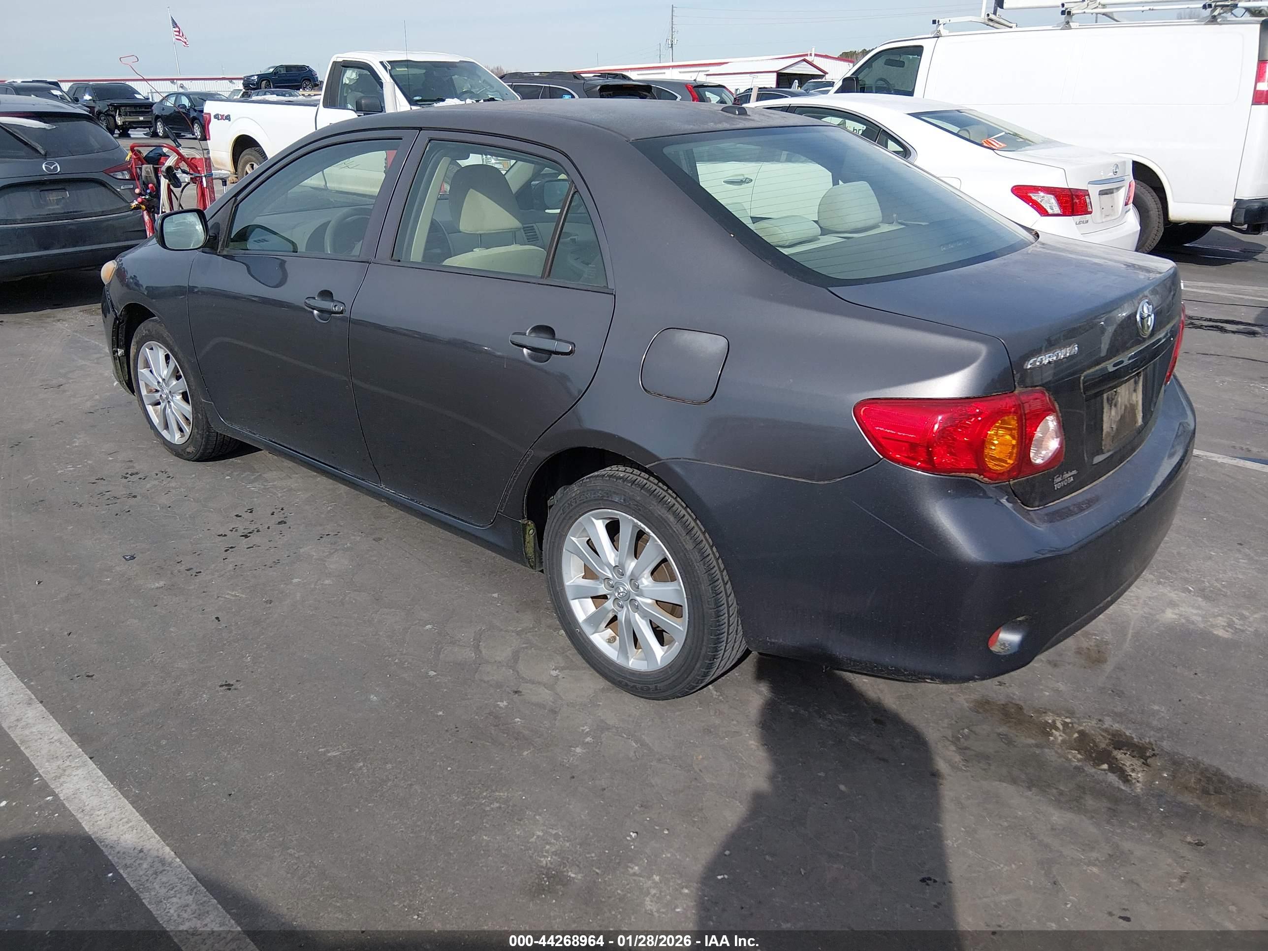 TOYOTA COROLLA image 3