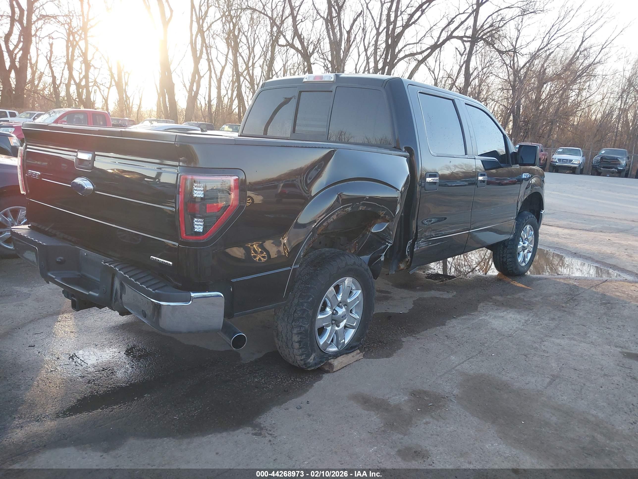FORD F-150 image 4