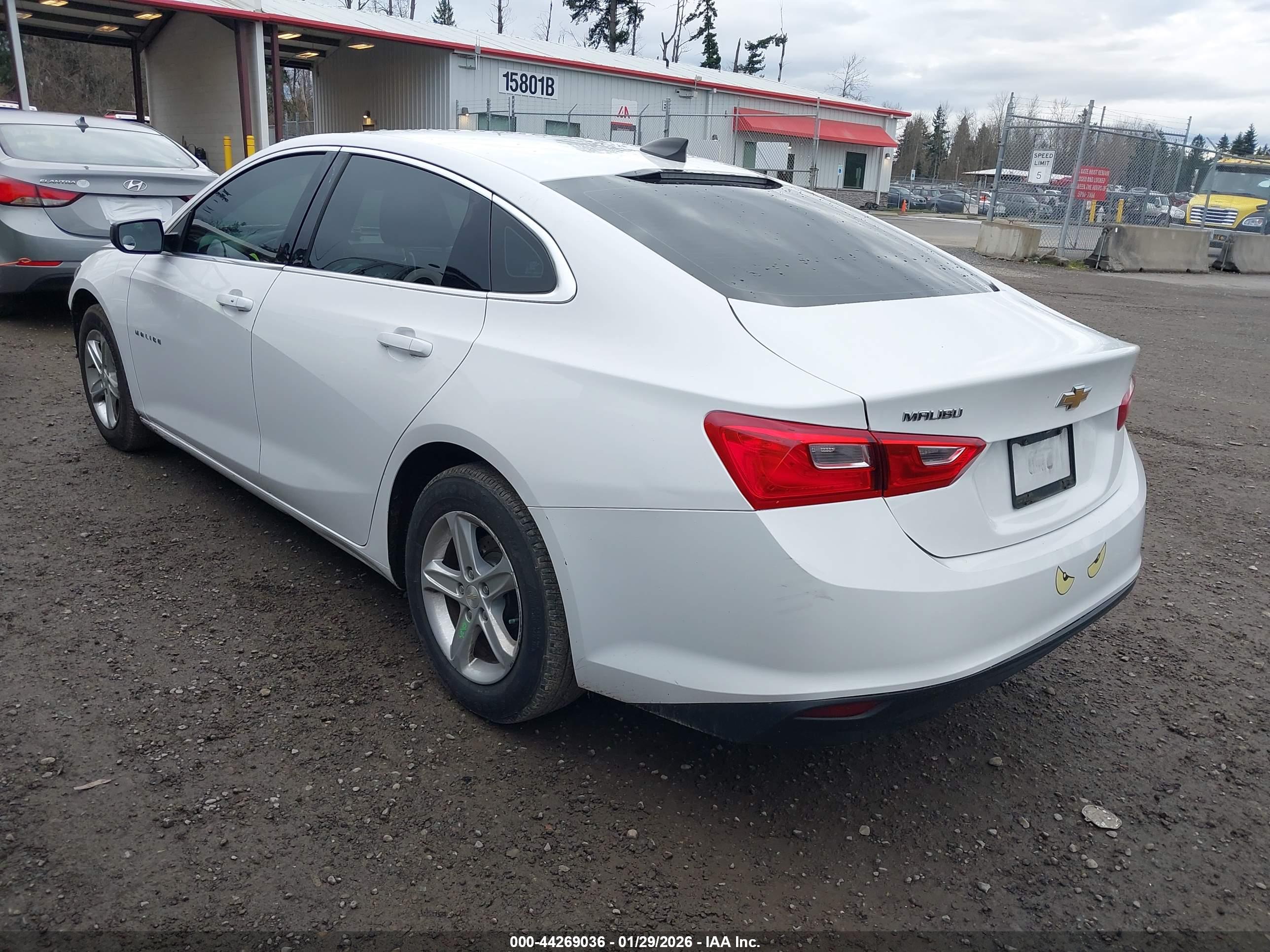 CHEVROLET MALIBU image 3