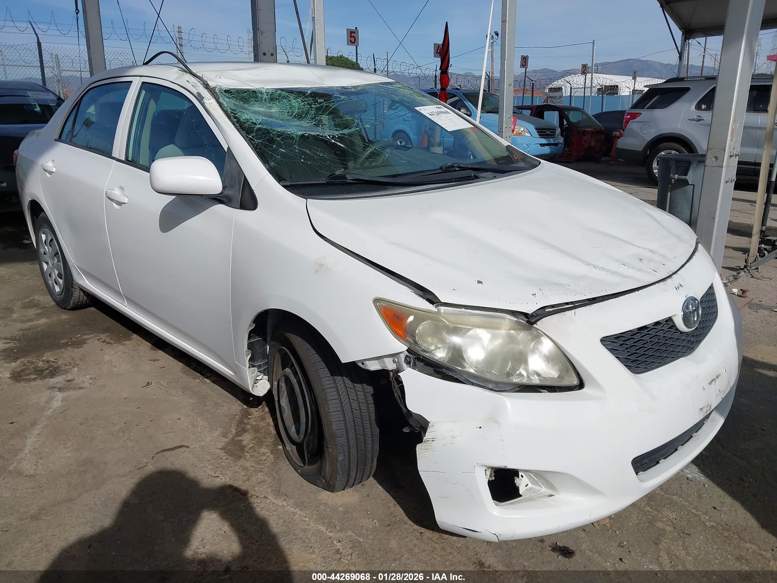 TOYOTA COROLLA image 6