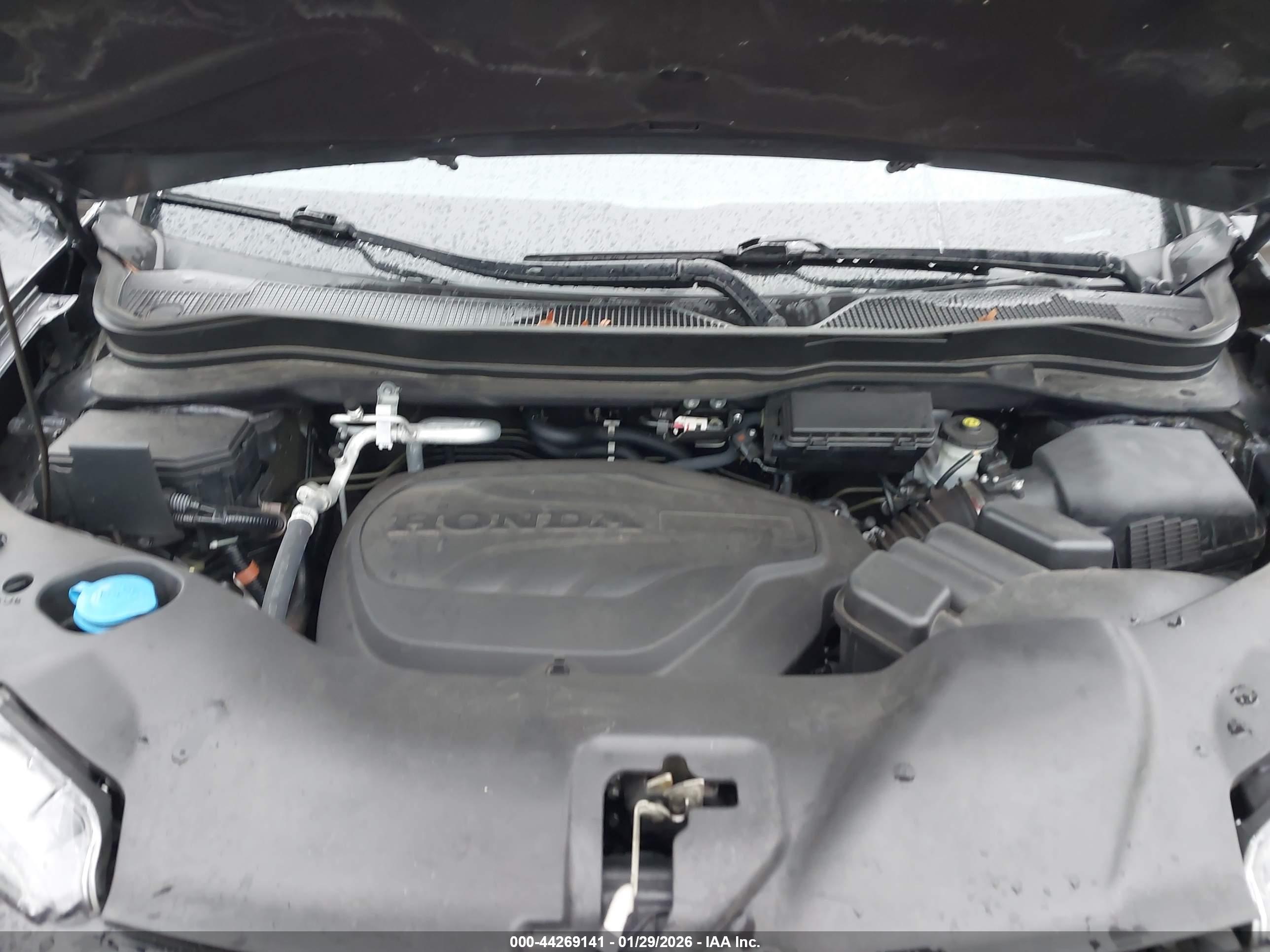 HONDA PASSPORT image 10