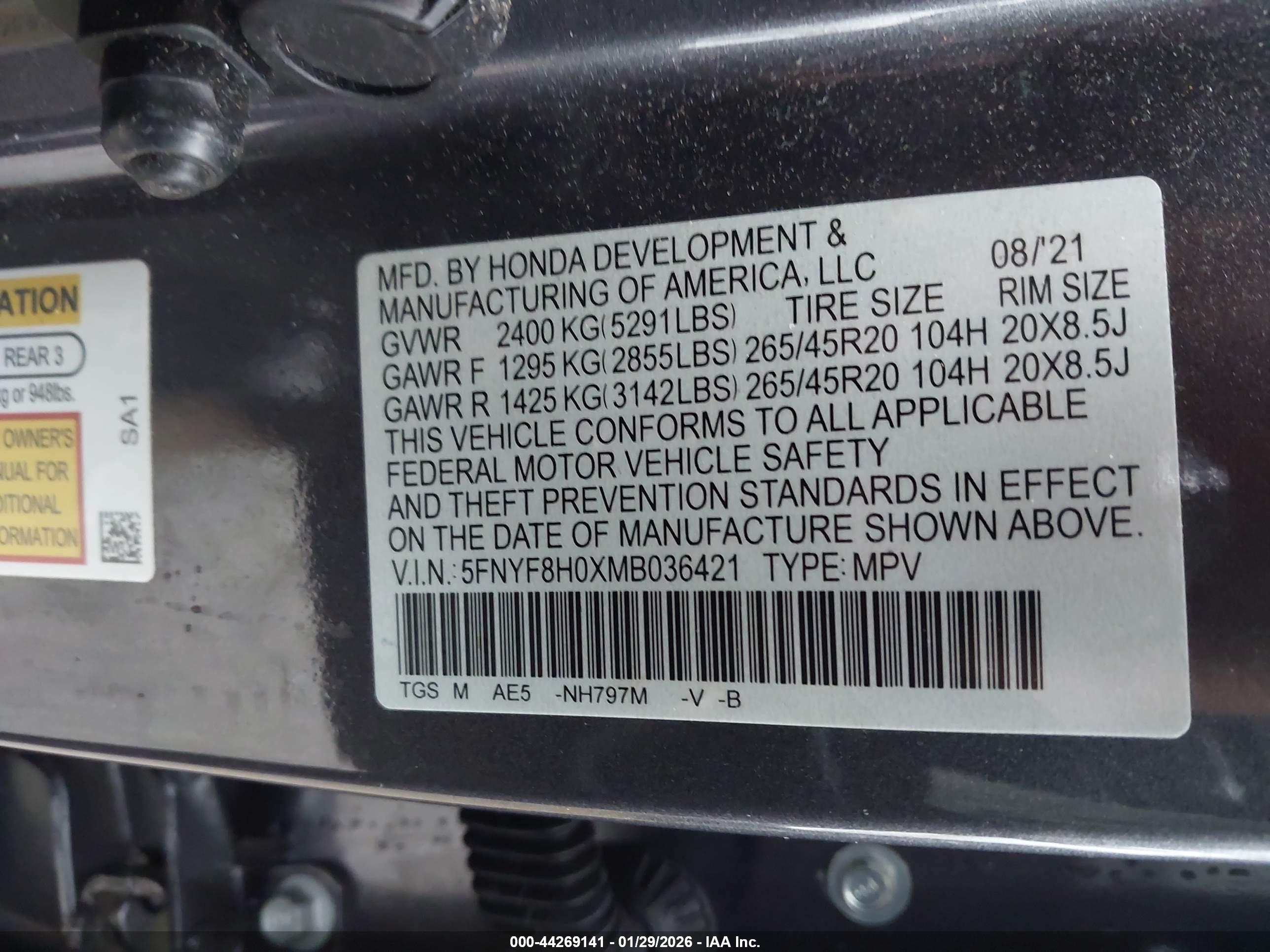 HONDA PASSPORT image 9