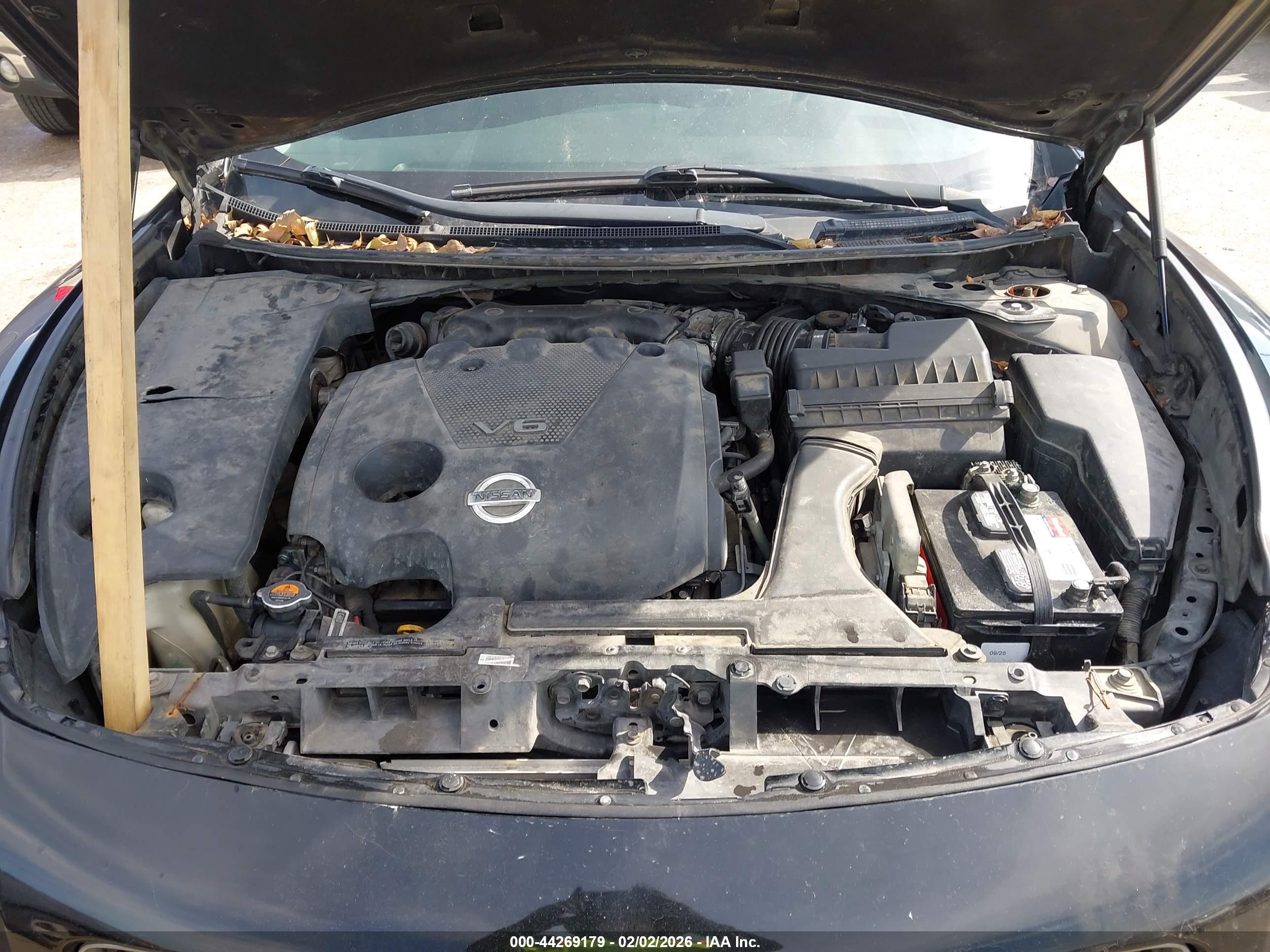 NISSAN MAXIMA image 10