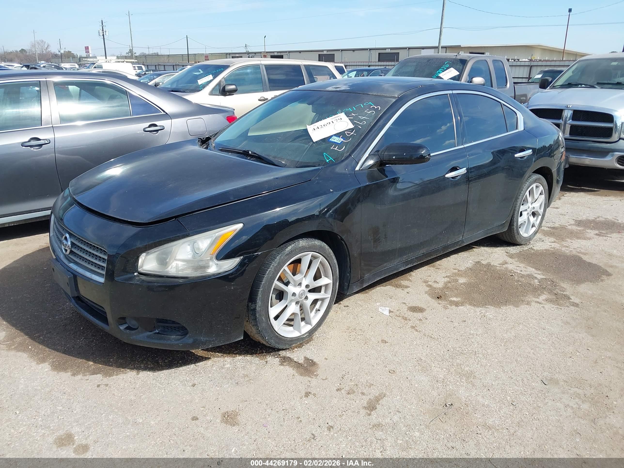 NISSAN MAXIMA image 2