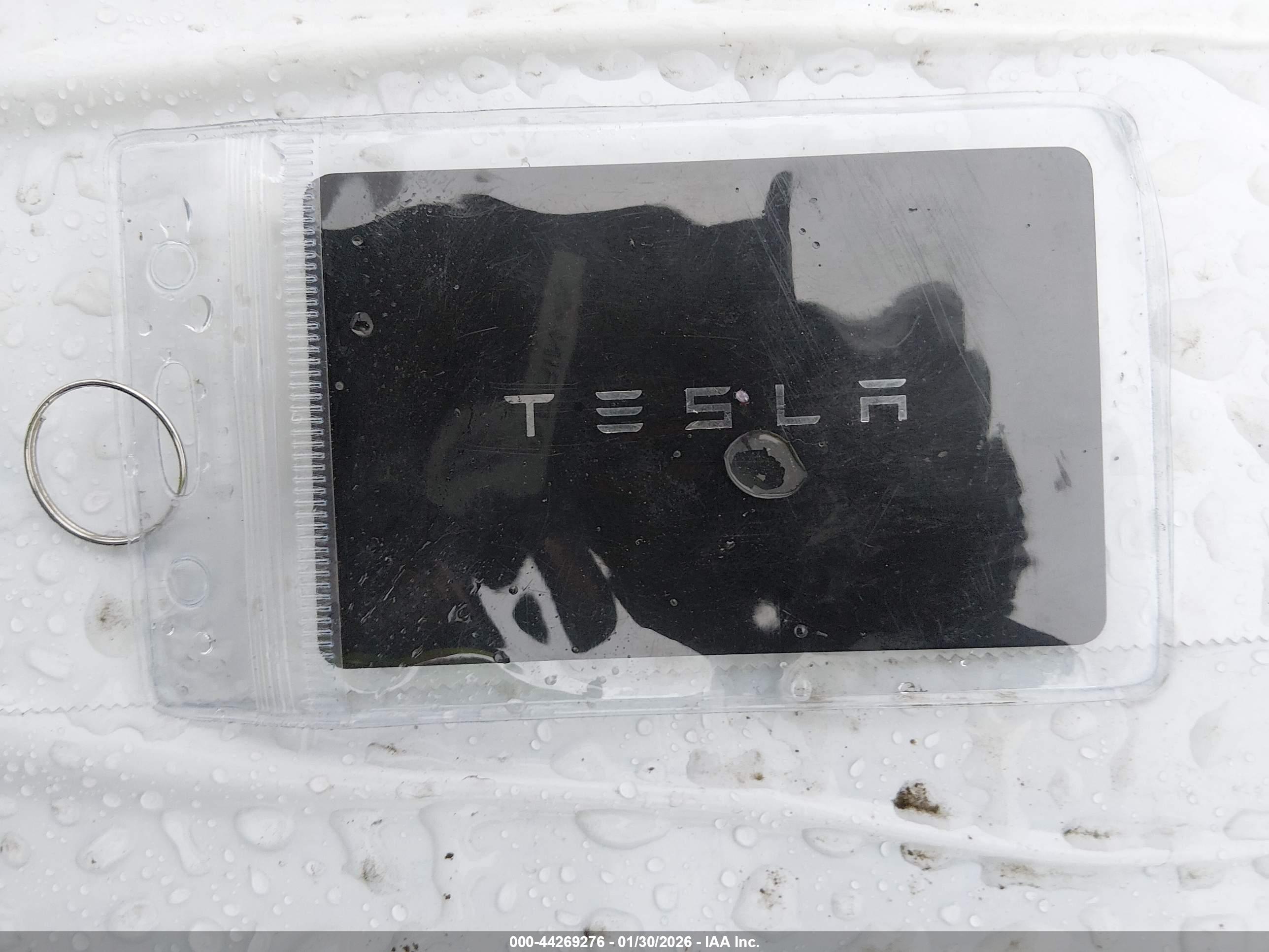 TESLA MODEL image 11