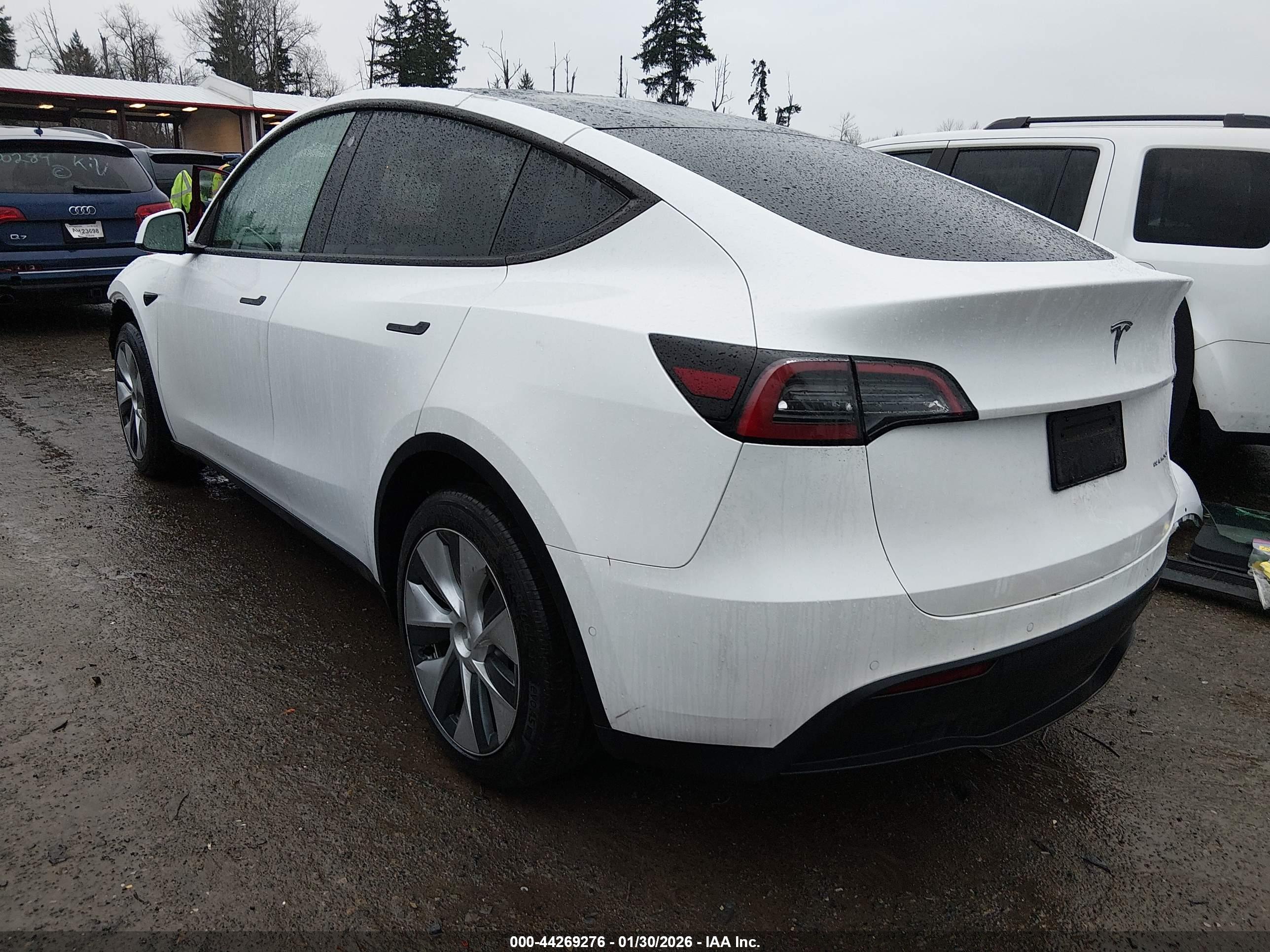 TESLA MODEL image 3