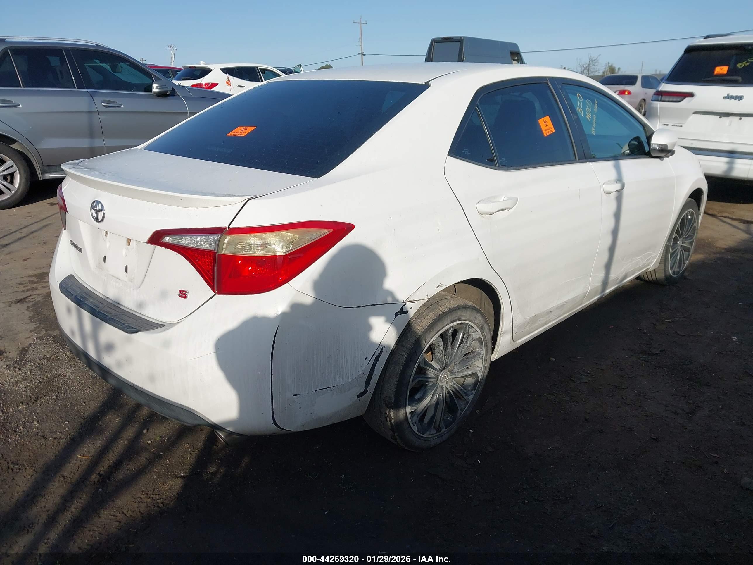 TOYOTA COROLLA image 4