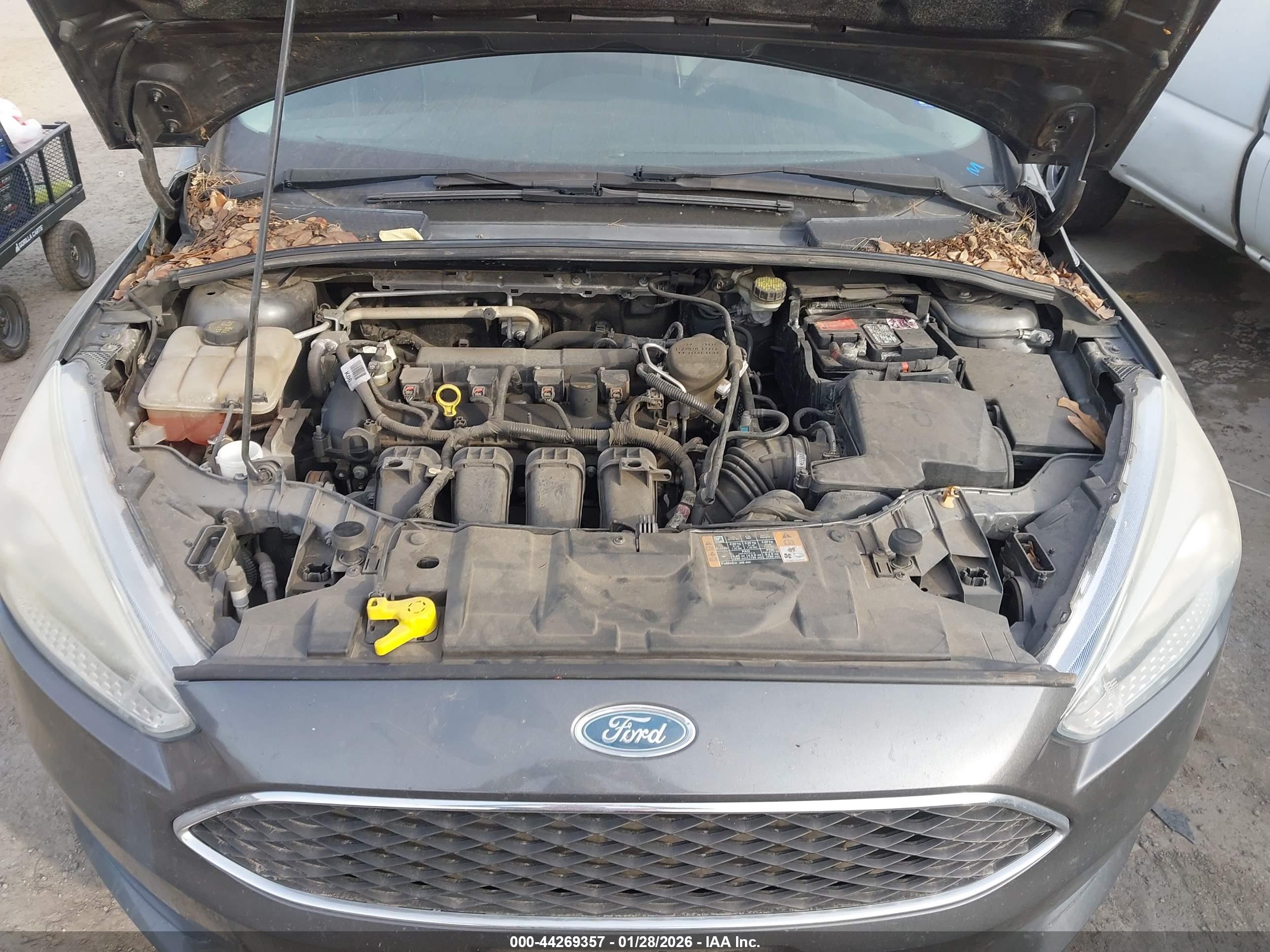 FORD FOCUS image 10