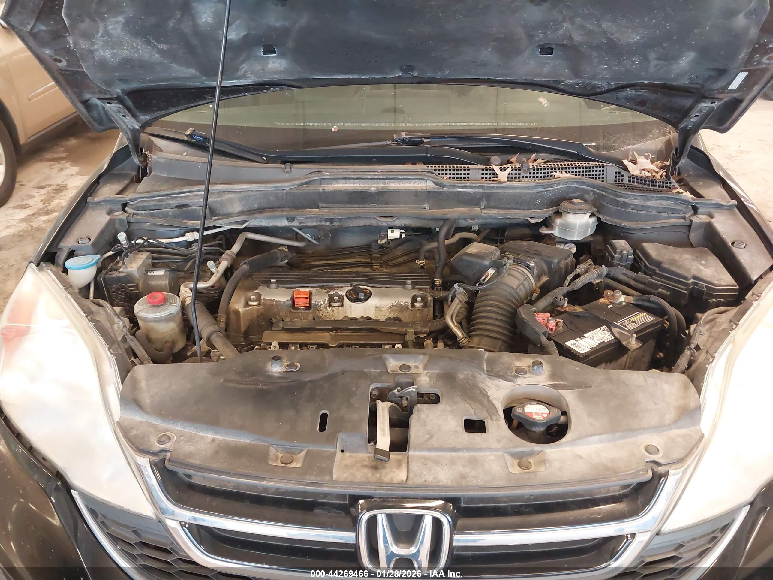 HONDA CR-V image 10