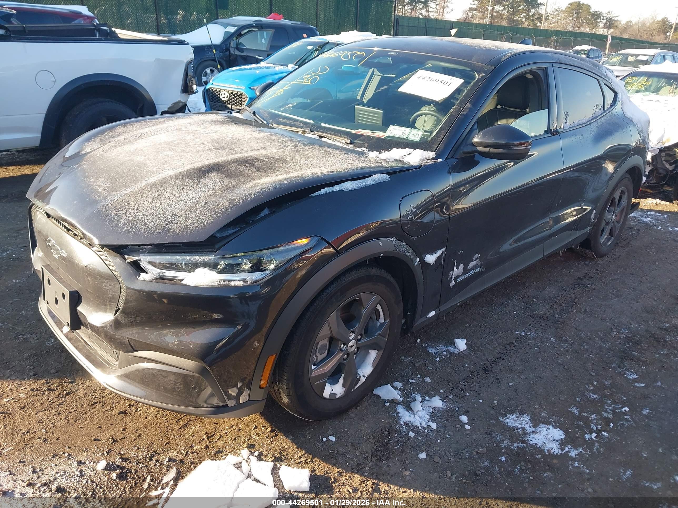 FORD MUSTANG image 2