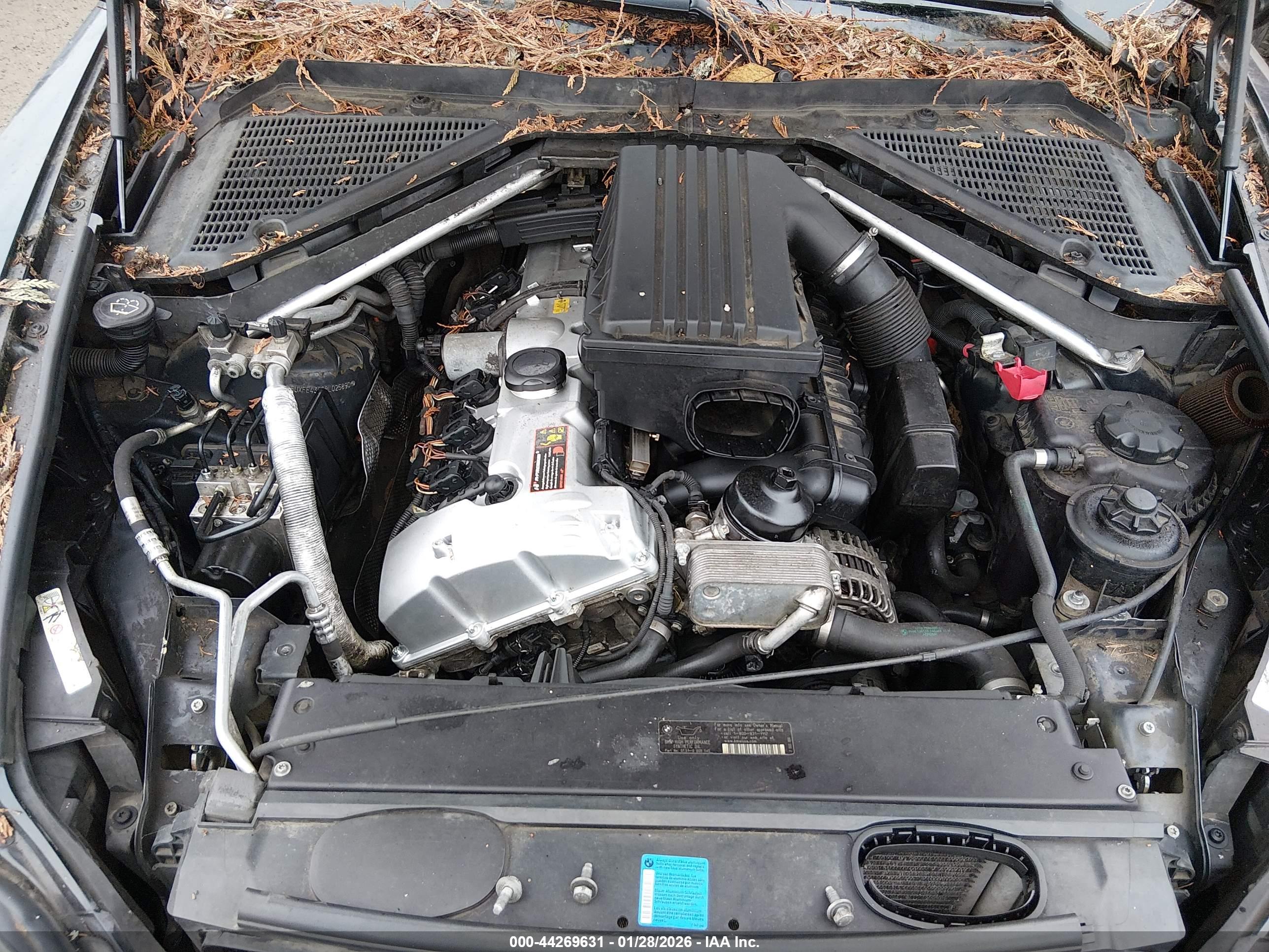 BMW X5 image 10