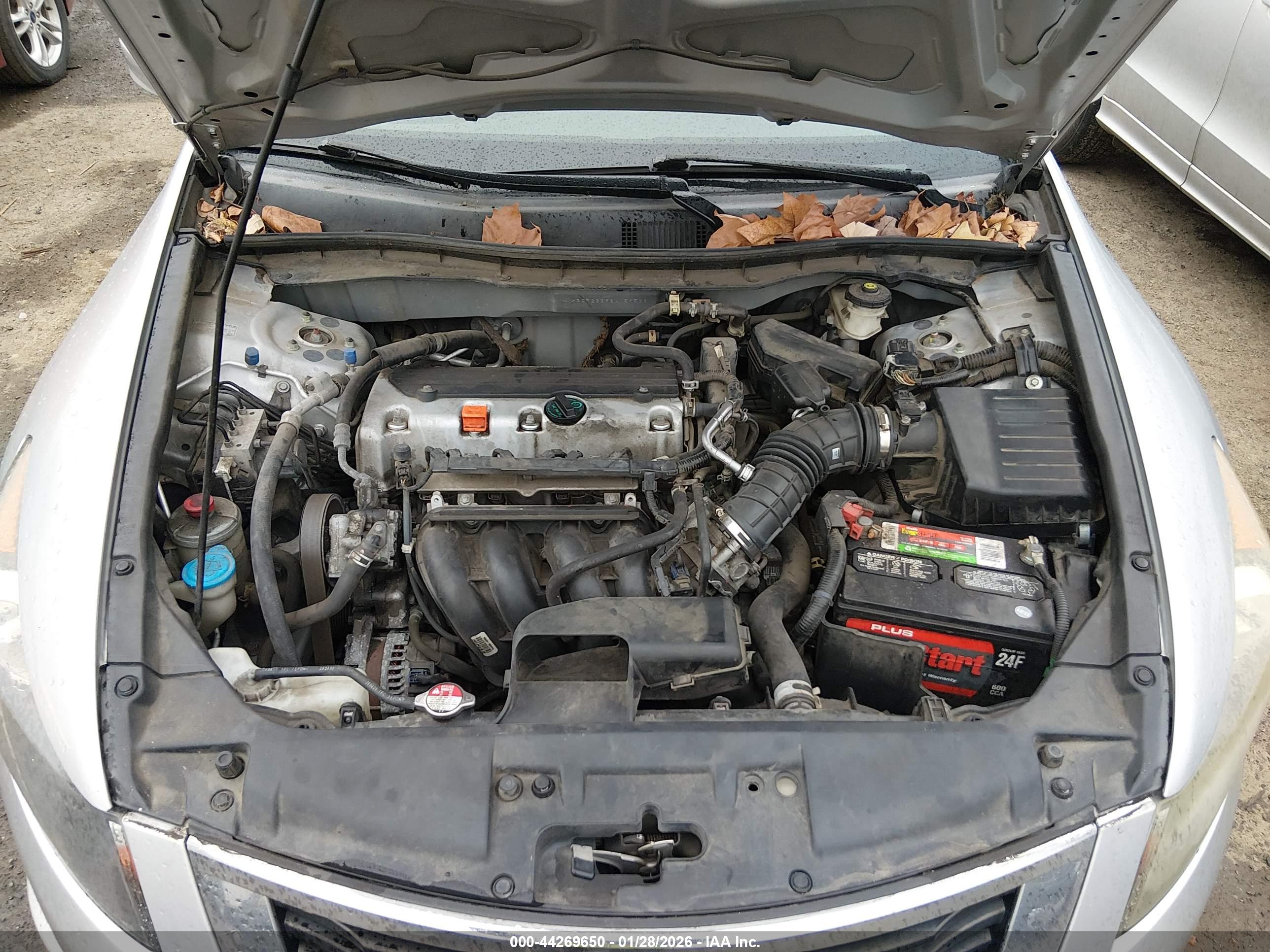 HONDA ACCORD image 10