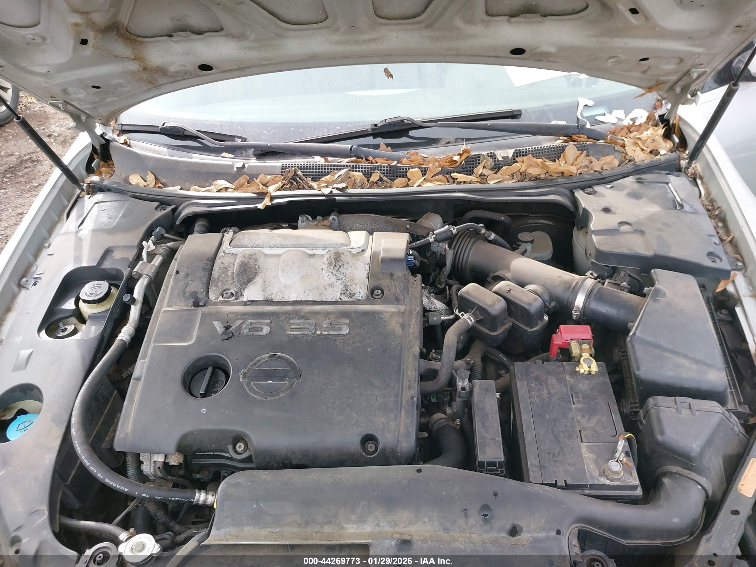 NISSAN MAXIMA image 10