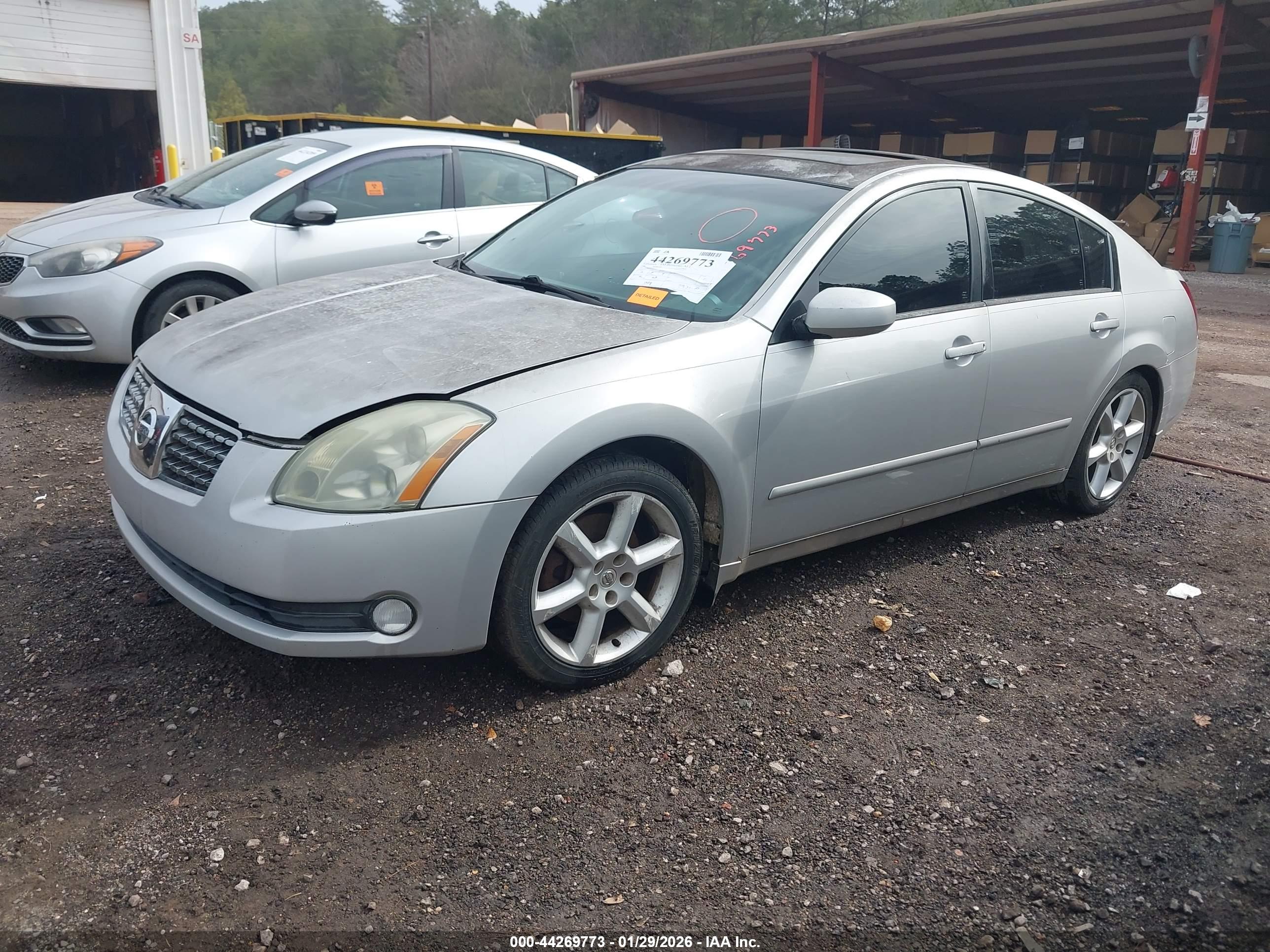 NISSAN MAXIMA image 2