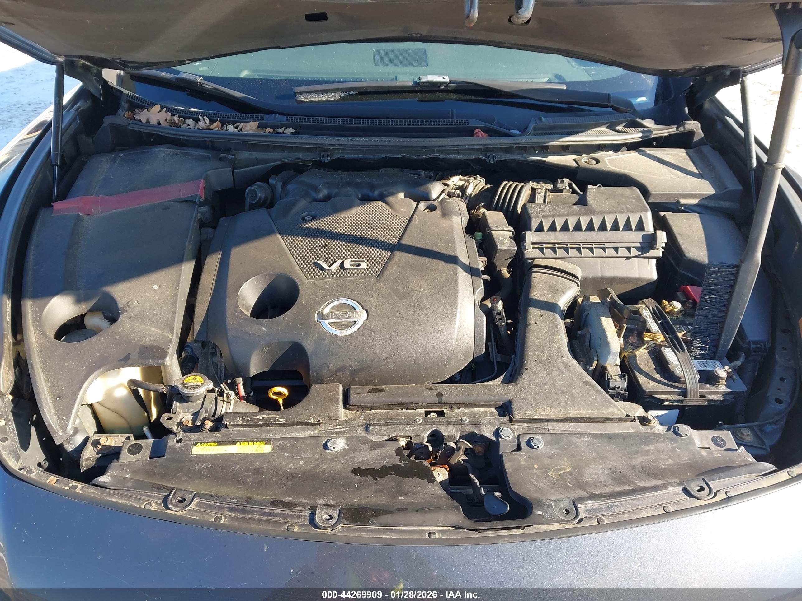 NISSAN MAXIMA image 10