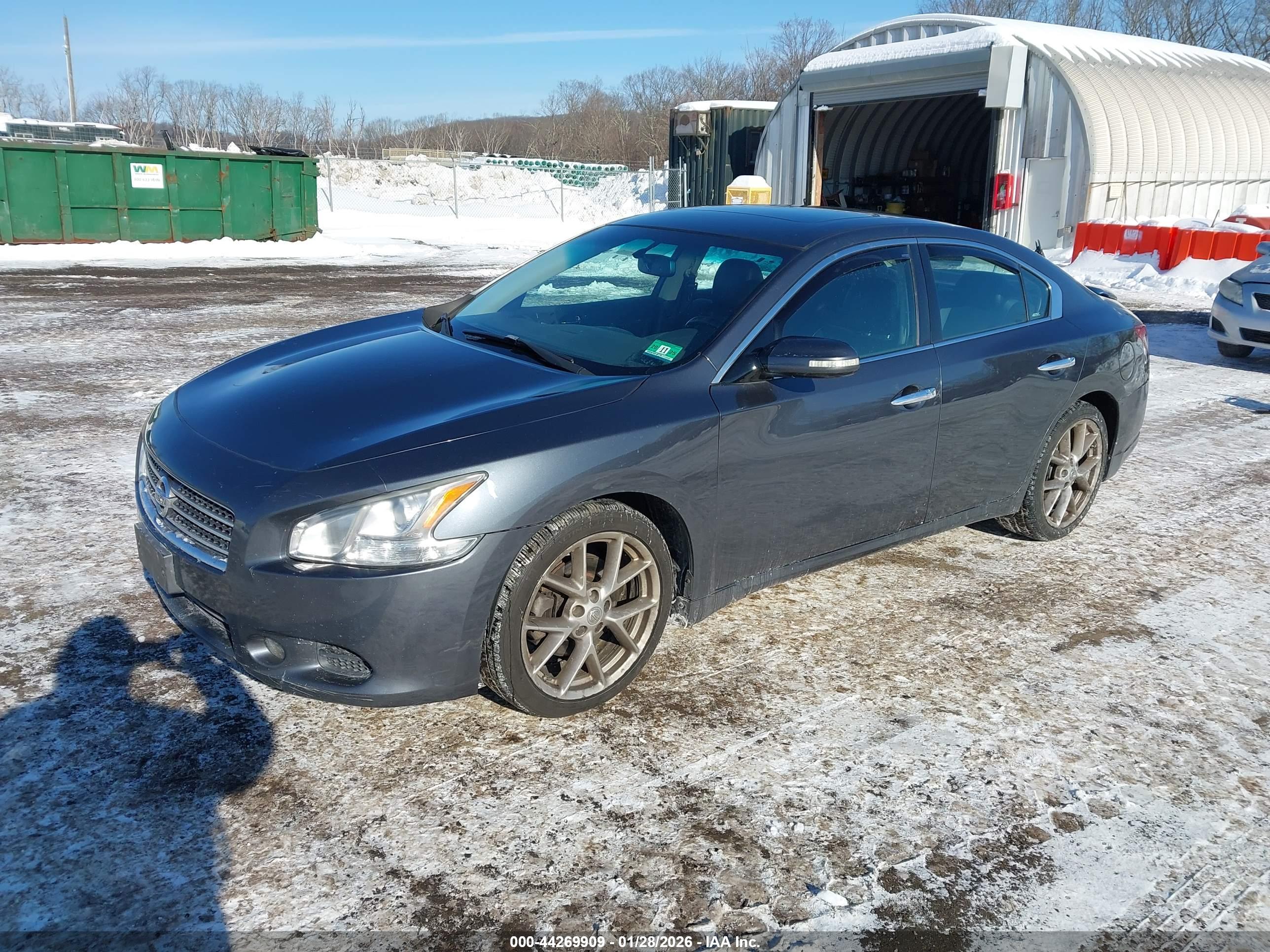 NISSAN MAXIMA image 2