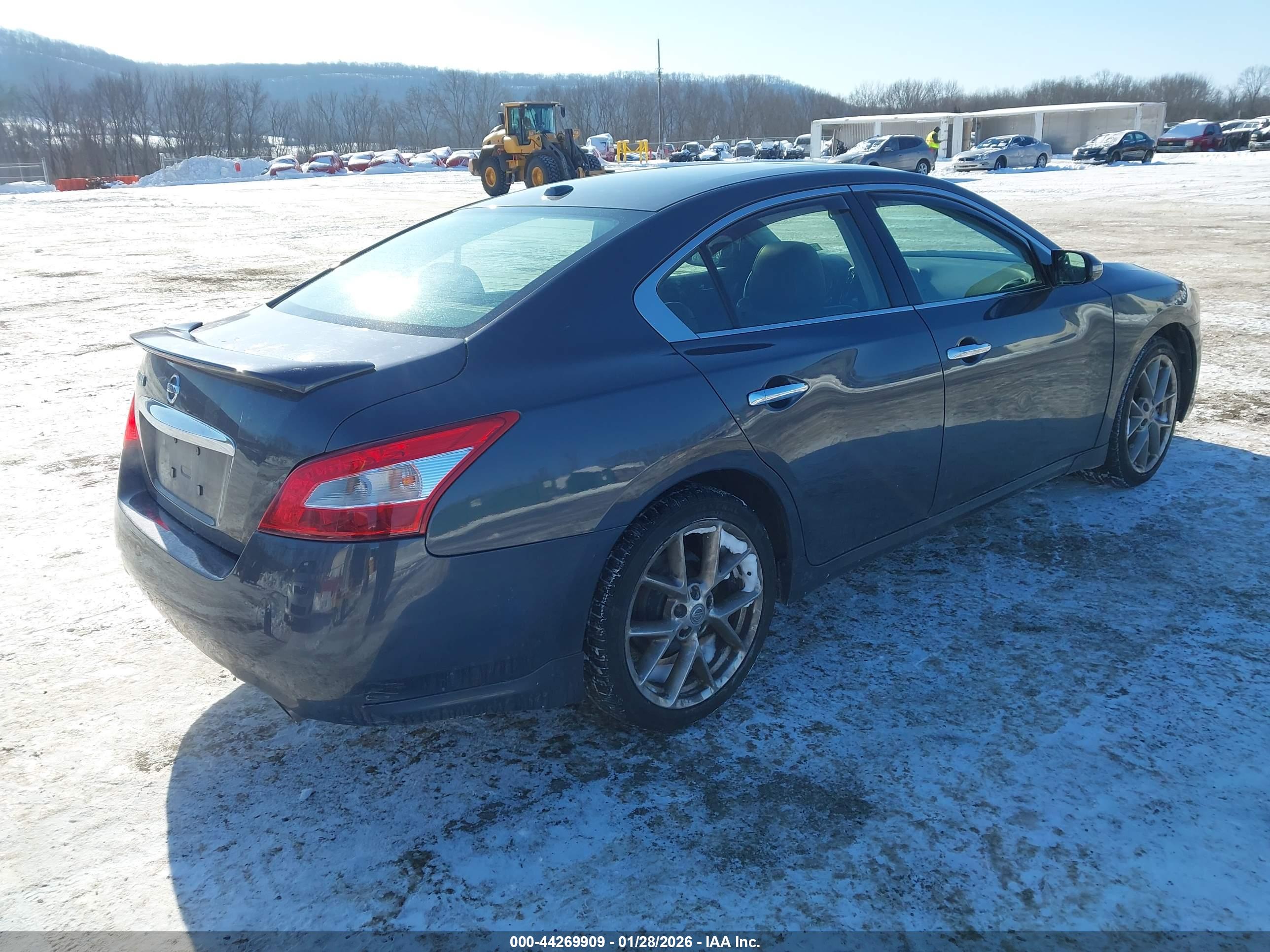 NISSAN MAXIMA image 4