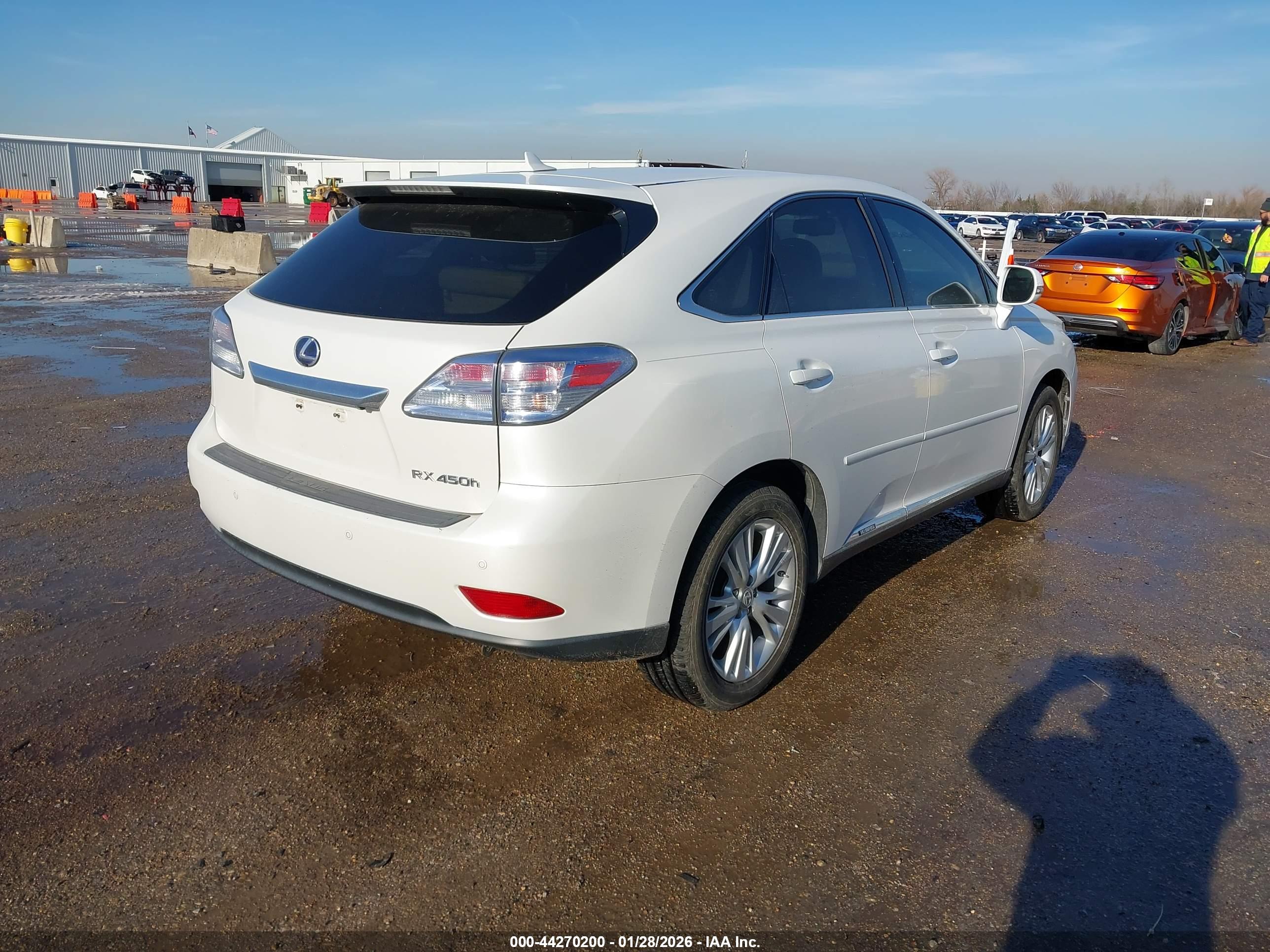 LEXUS RX image 4