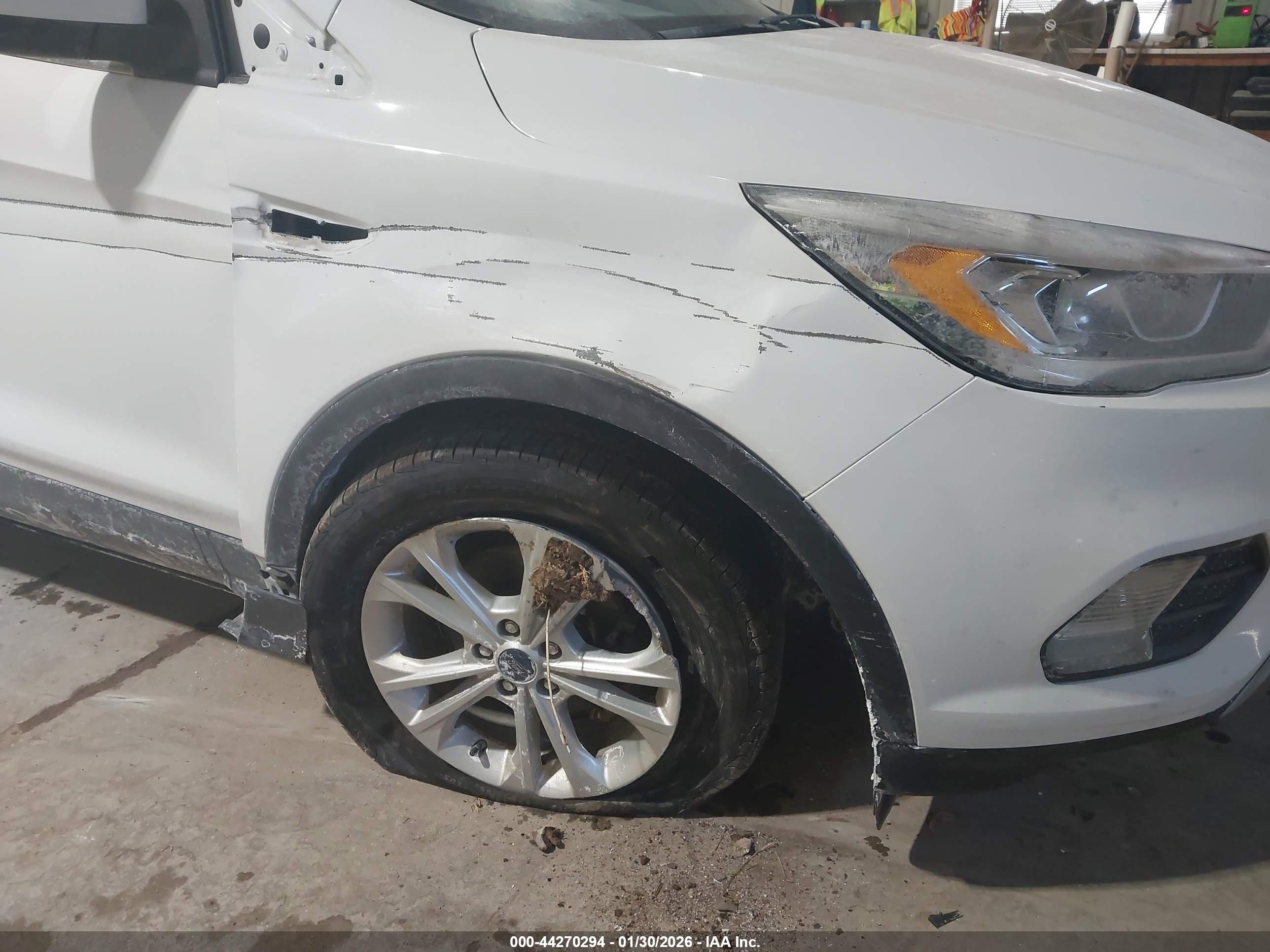 FORD ESCAPE image 6